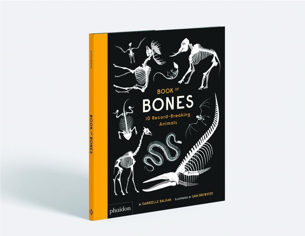 Beispielinhalt (Bild) Book of Bones