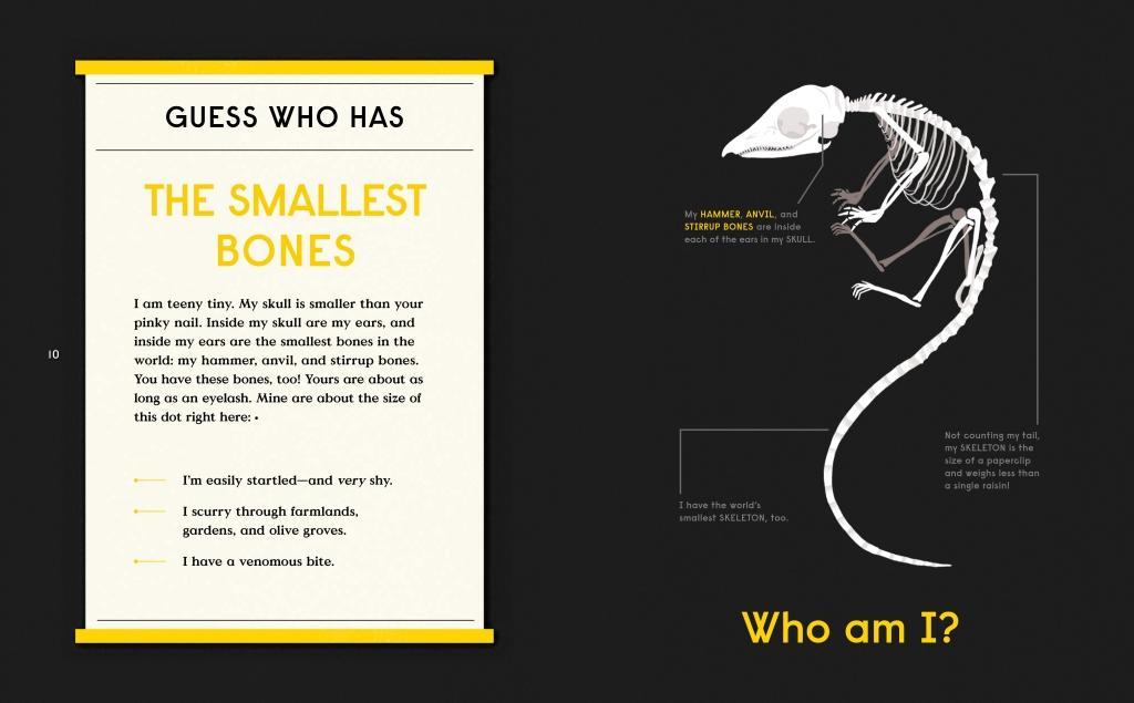 Beispielinhalt (Bild) Book of Bones