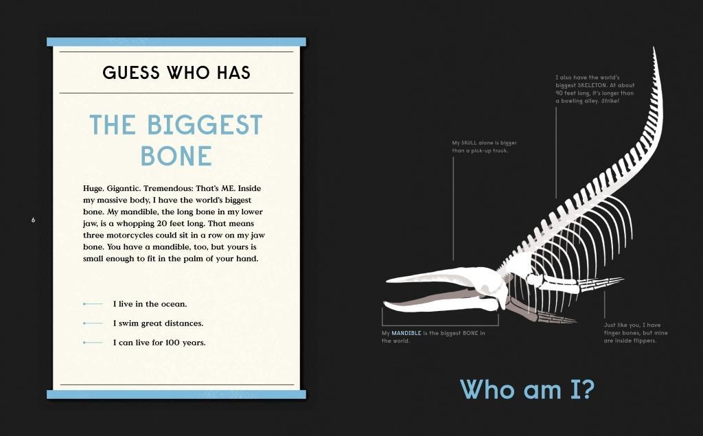 Beispielinhalt (Bild) Book of Bones