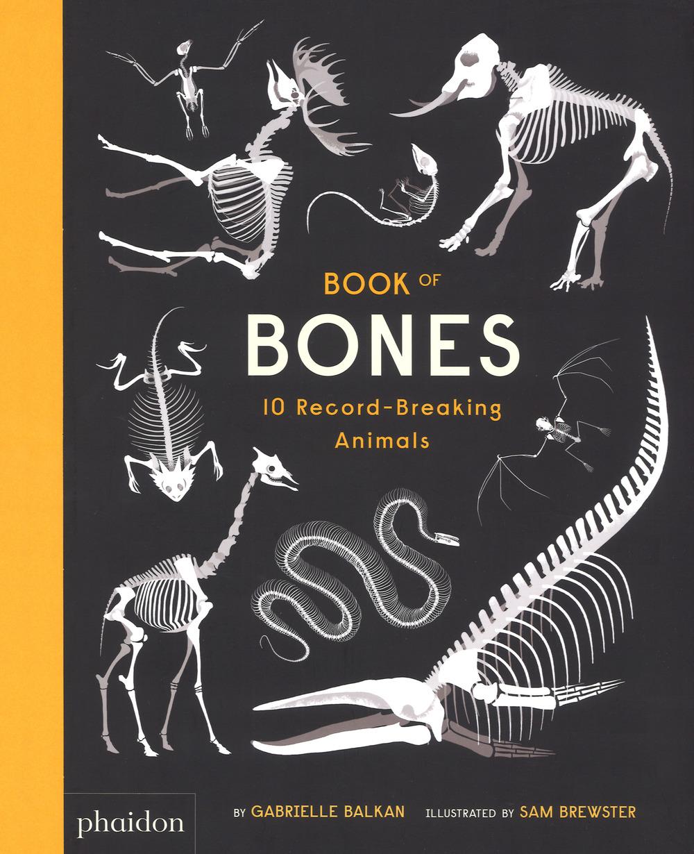 Vorderes Coverbild Book of Bones