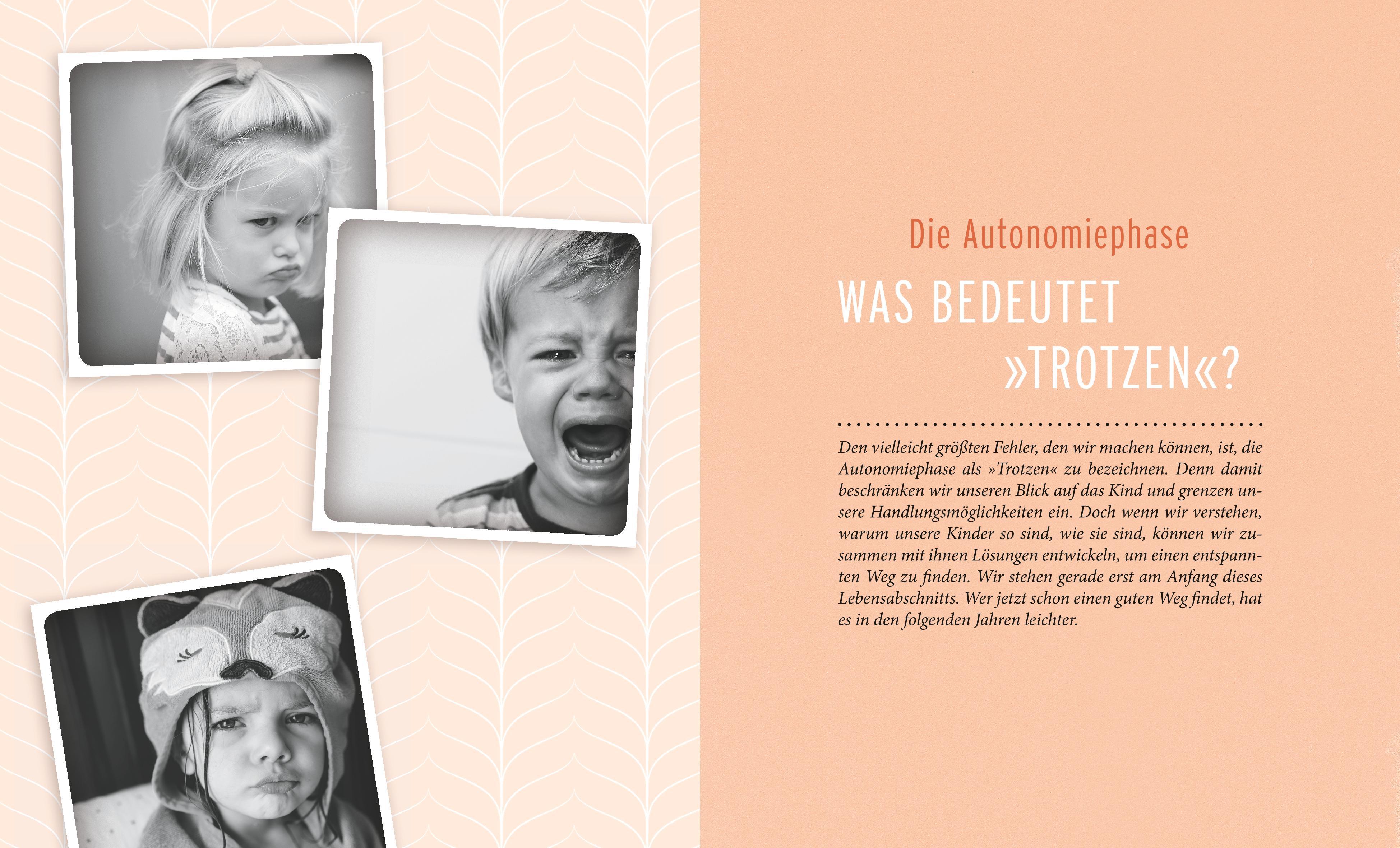 Beispielinhalt (Bild) Ich! Will! Aber! Nicht!