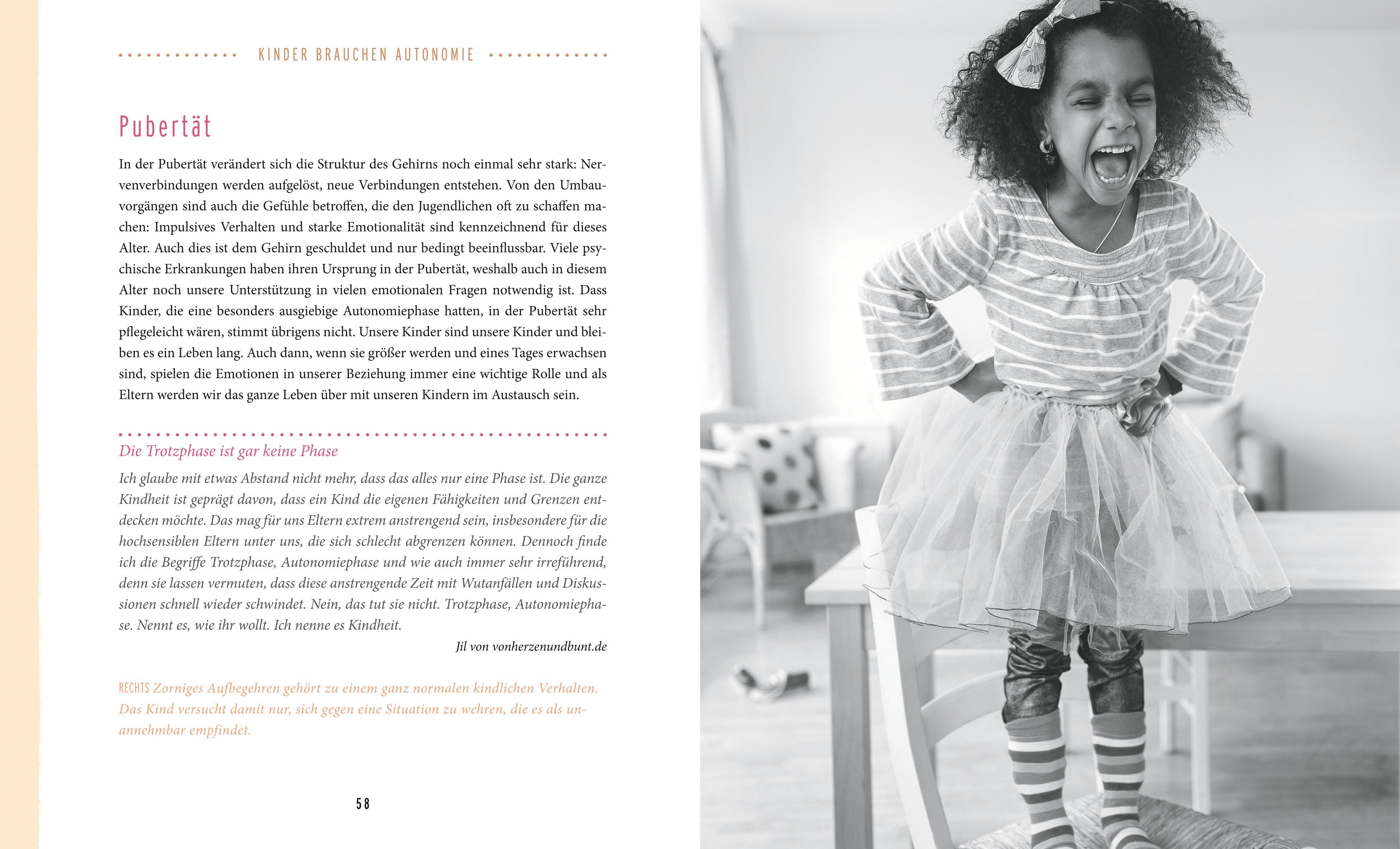 Beispielinhalt (Bild) Ich! Will! Aber! Nicht!