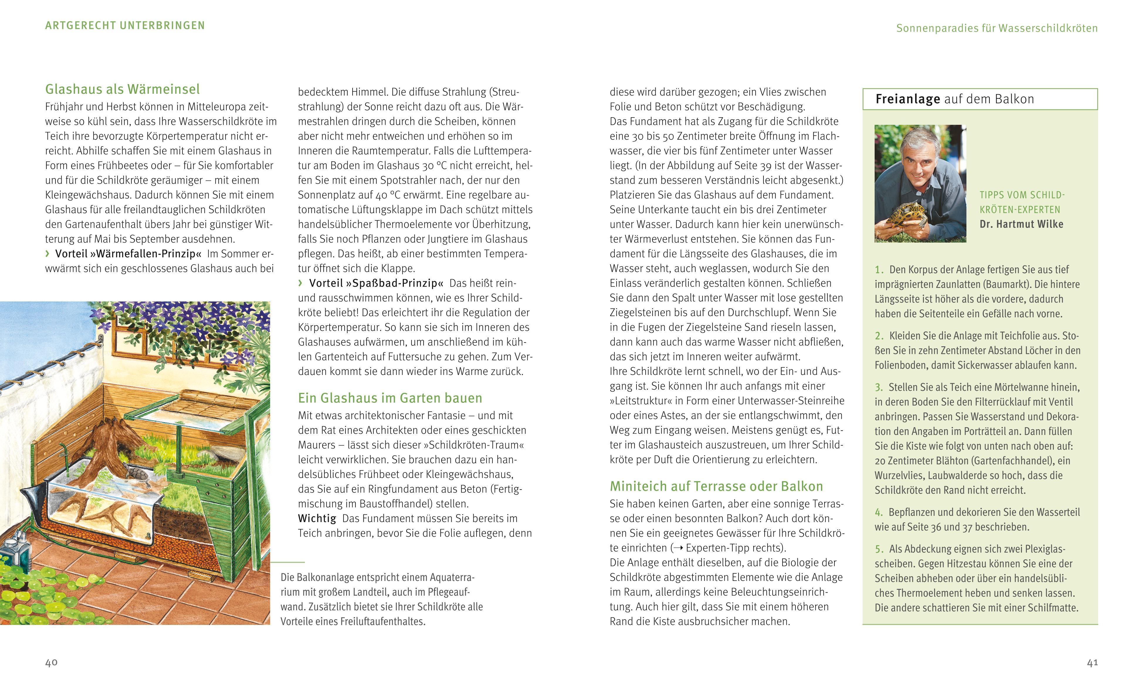 Beispielinhalt (Bild) Wasserschildkröten