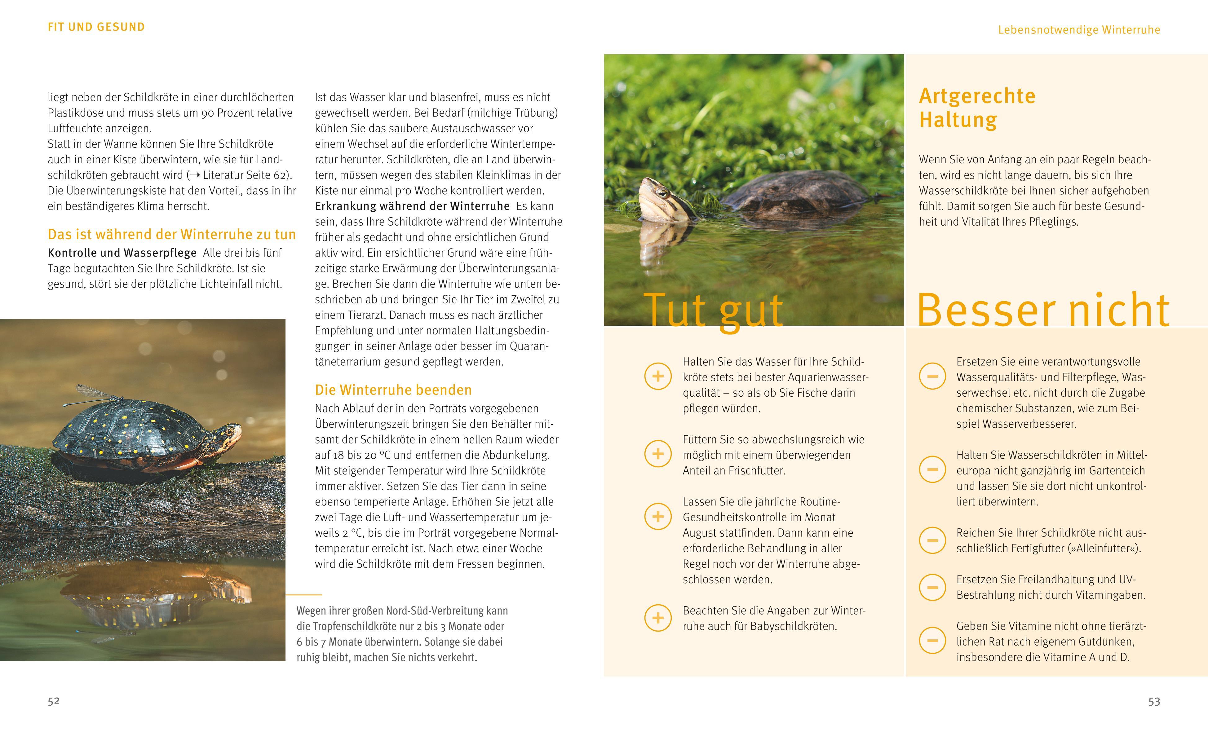 Beispielinhalt (Bild) Wasserschildkröten