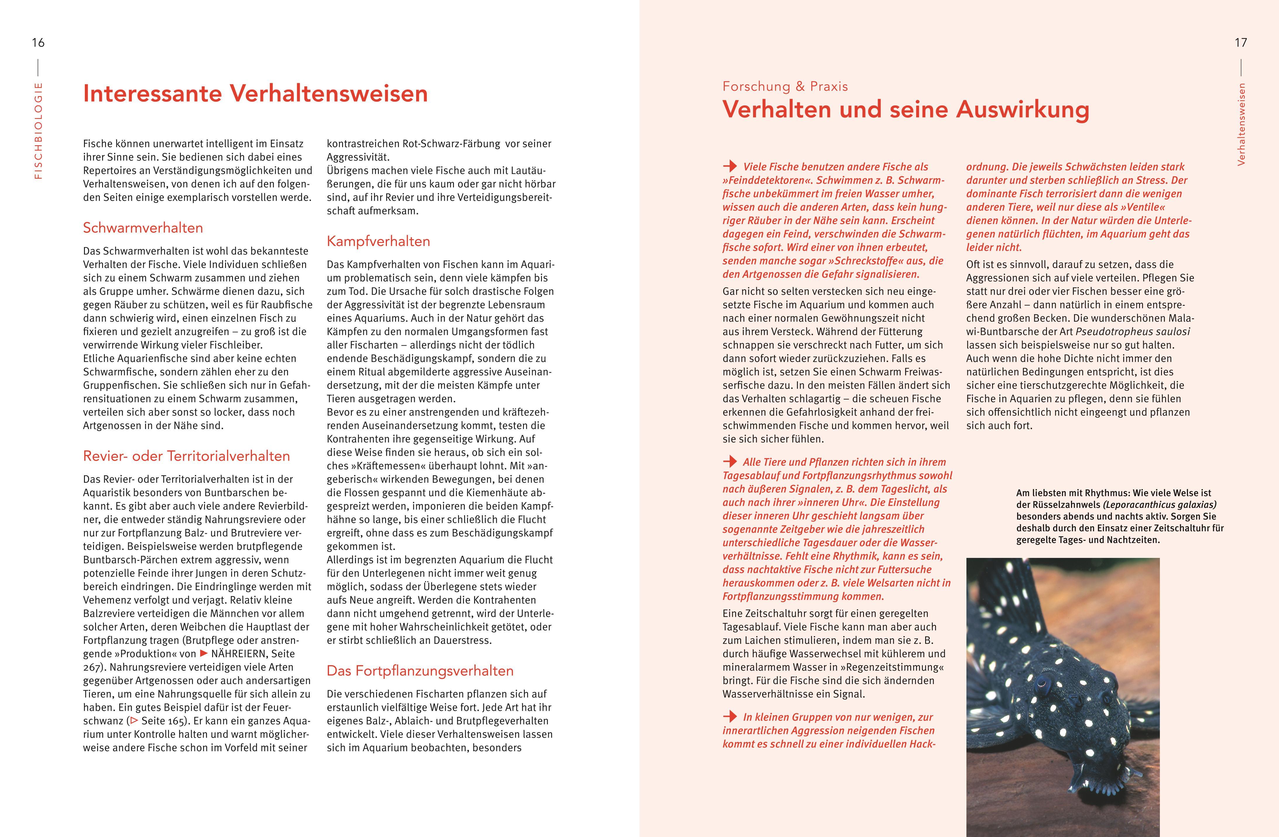 Beispielinhalt (Bild) Praxishandbuch Aquarium