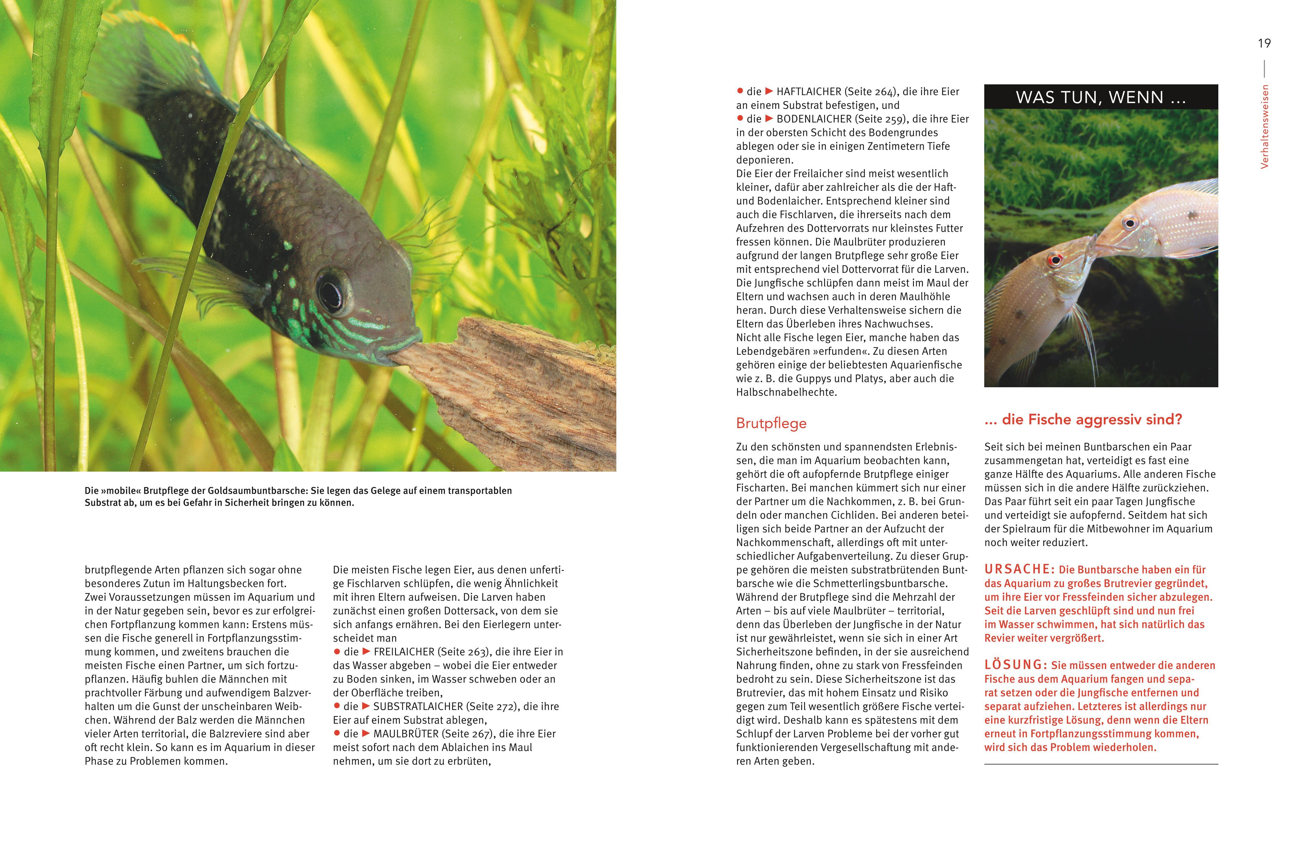 Beispielinhalt (Bild) Praxishandbuch Aquarium