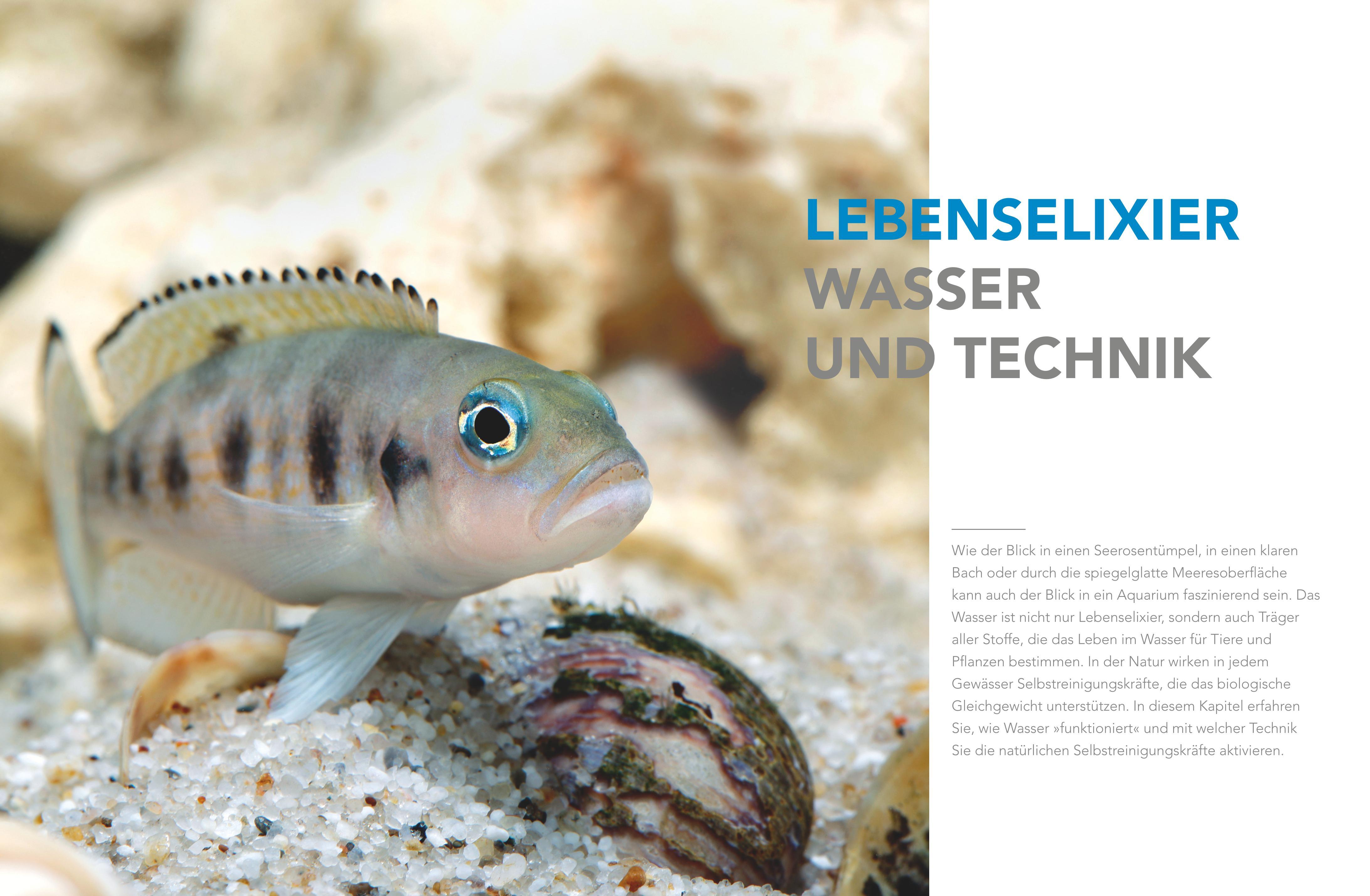 Beispielinhalt (Bild) Praxishandbuch Aquarium