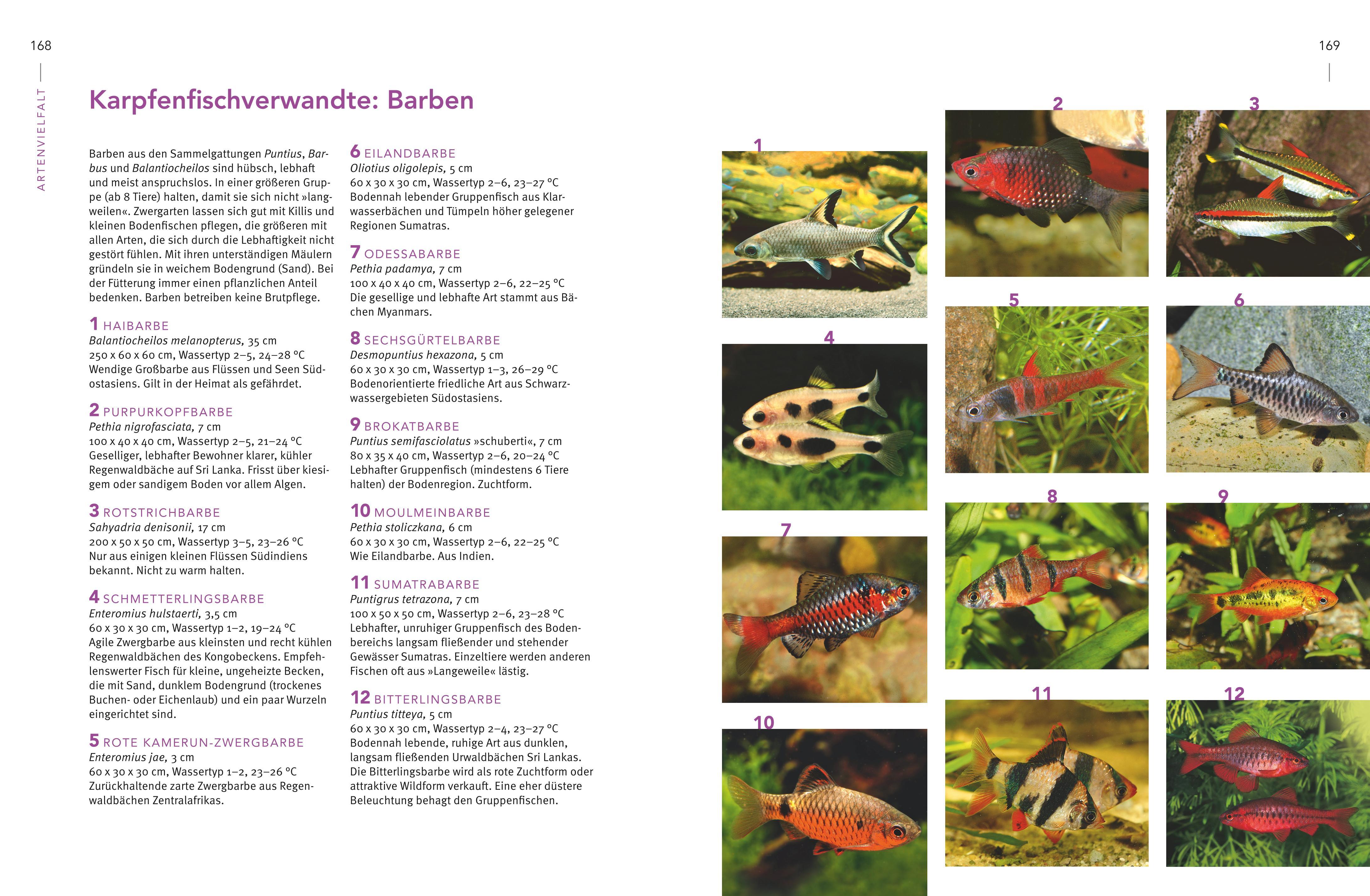 Beispielinhalt (Bild) Praxishandbuch Aquarium