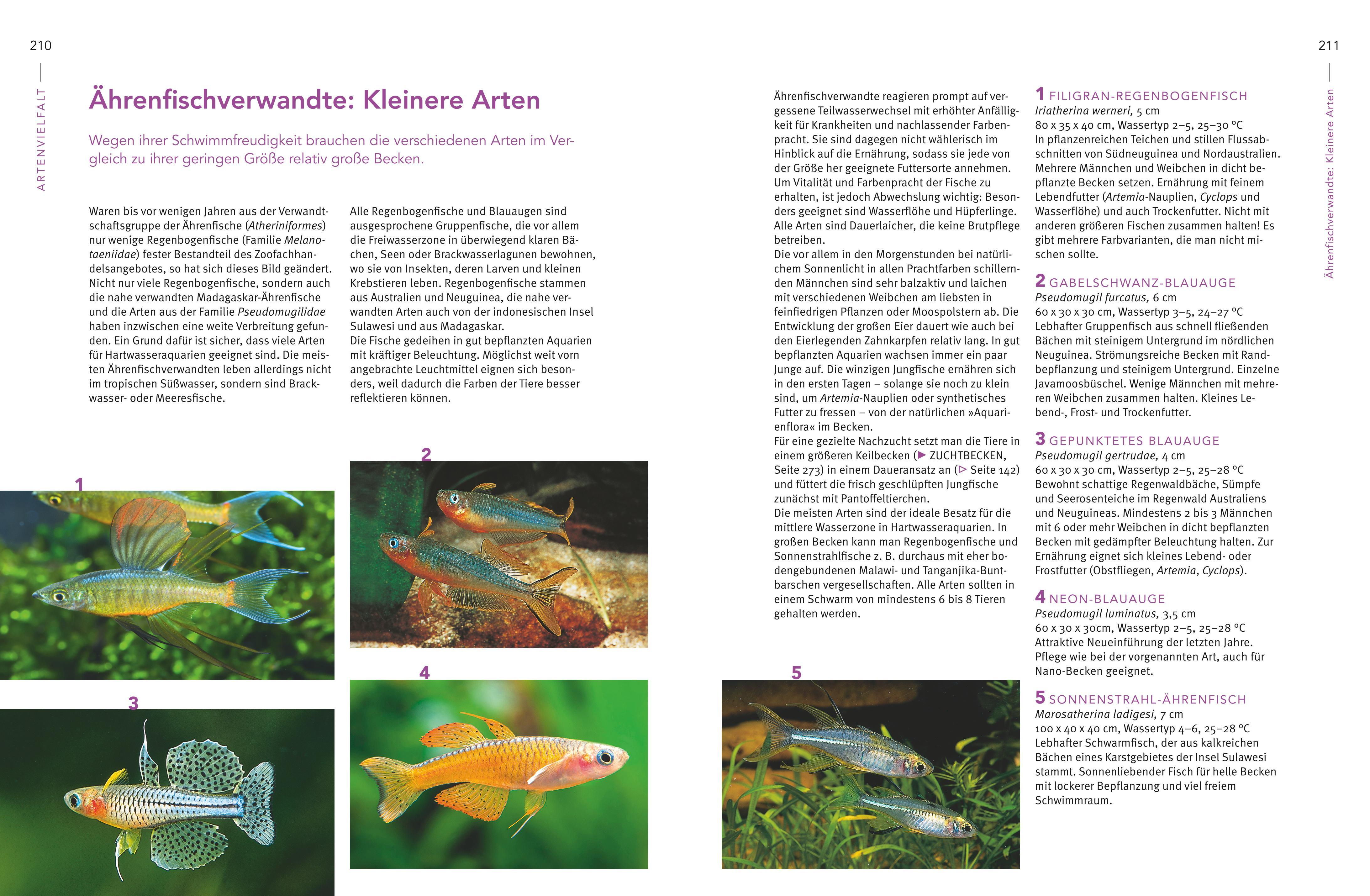 Beispielinhalt (Bild) Praxishandbuch Aquarium