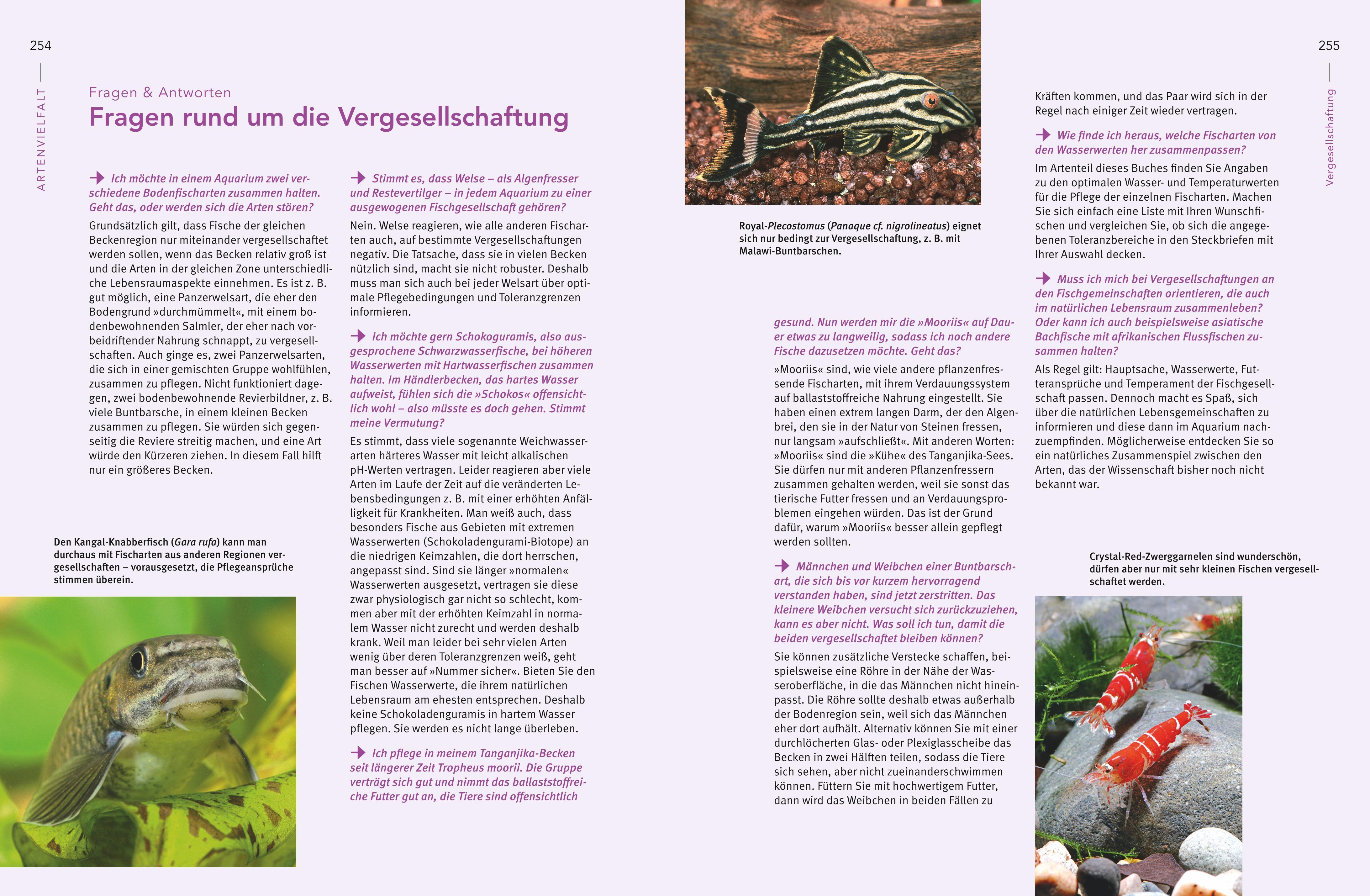 Beispielinhalt (Bild) Praxishandbuch Aquarium