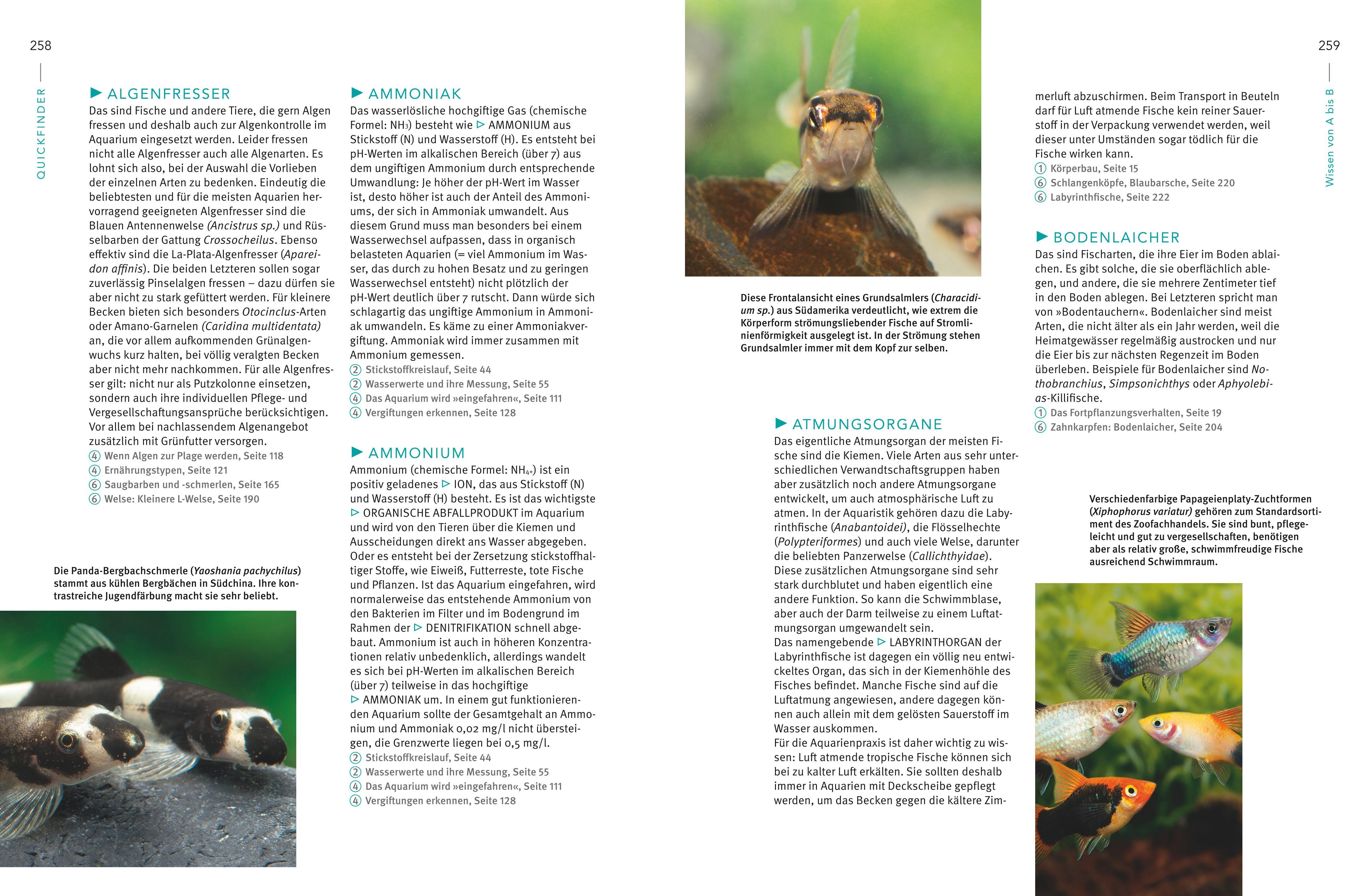 Beispielinhalt (Bild) Praxishandbuch Aquarium