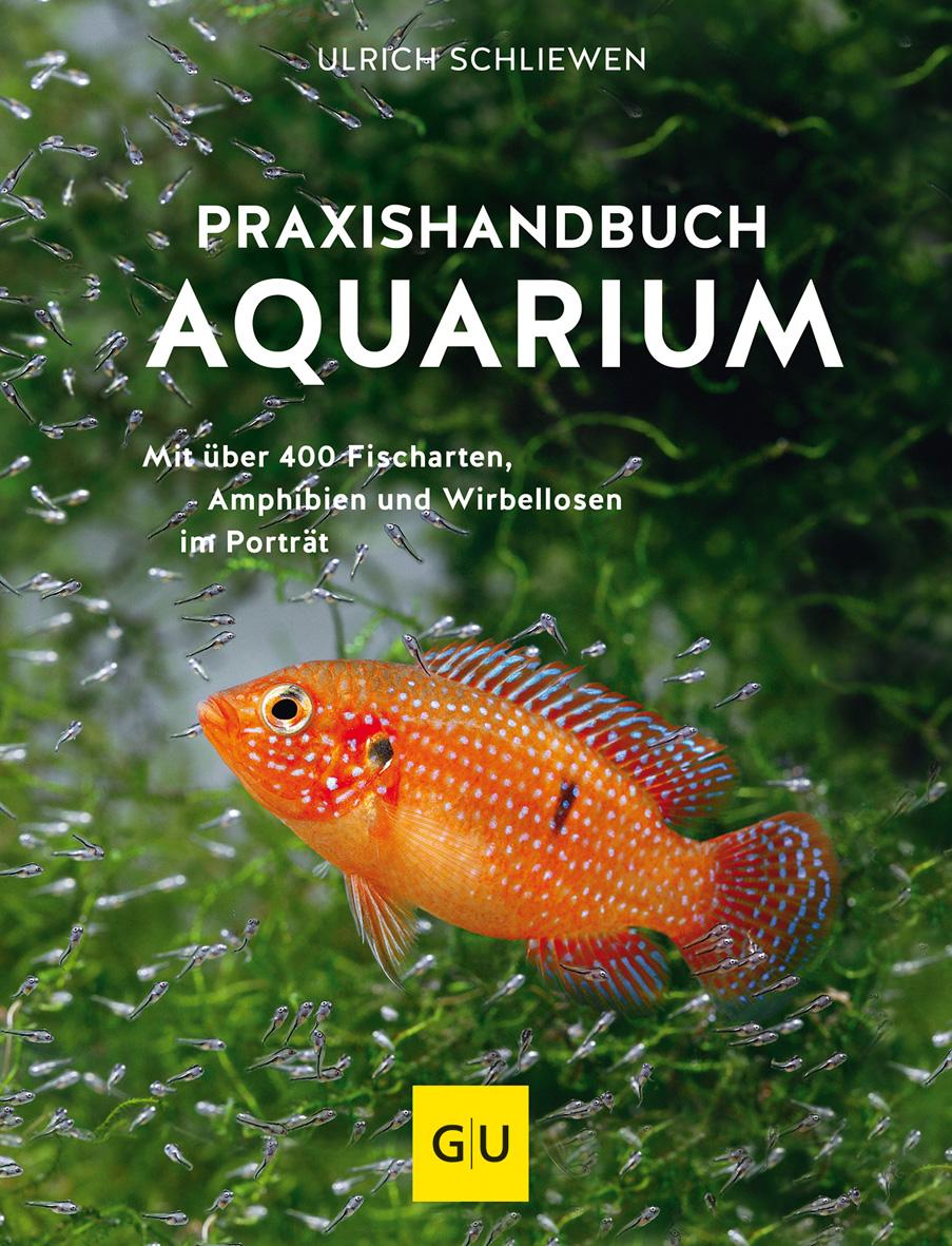 Vorderes Coverbild Praxishandbuch Aquarium