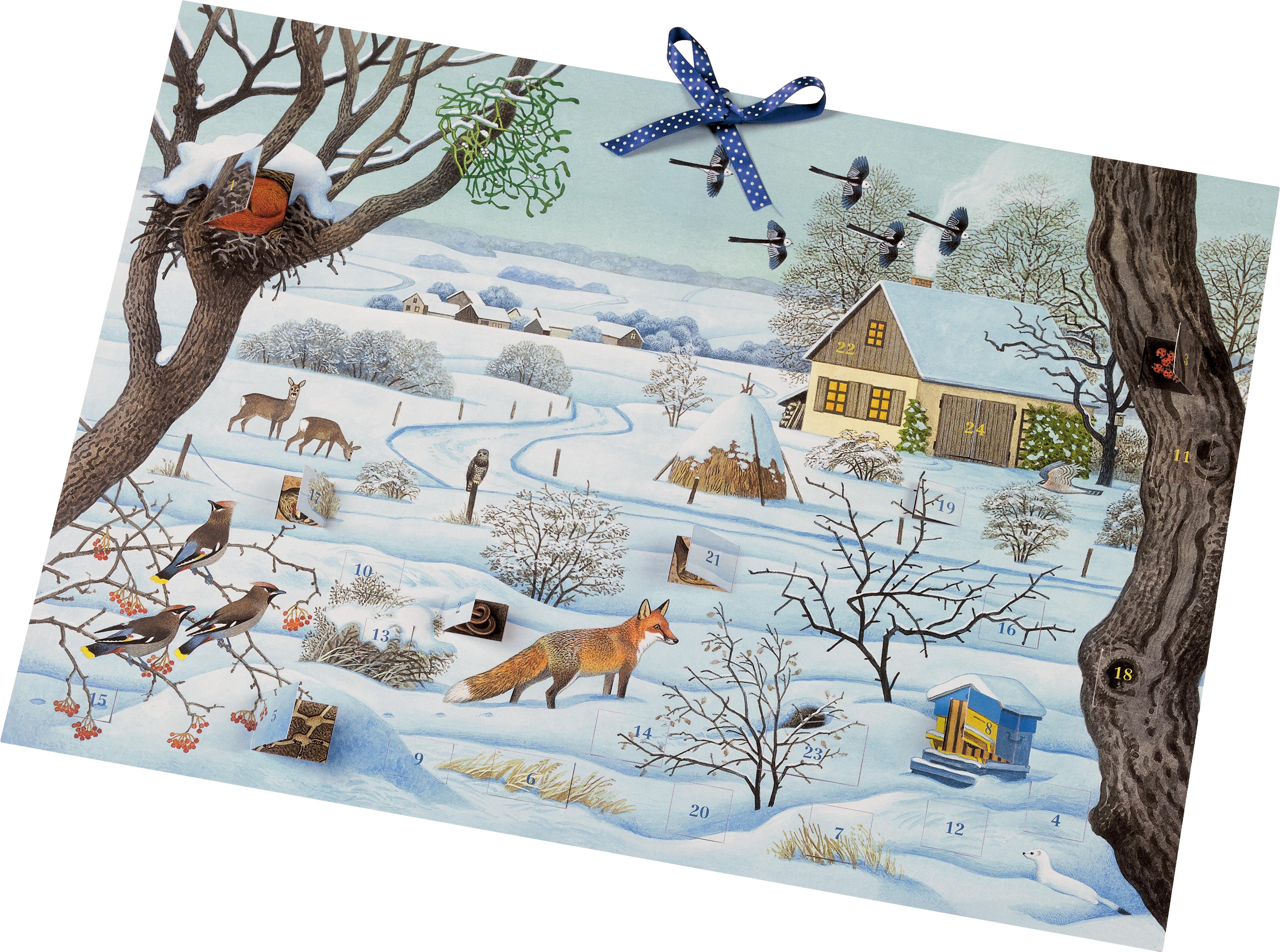 Vorderes Coverbild Der große Tier-Adventskalender