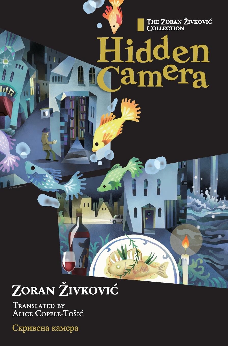 Vorderes Coverbild Hidden Camera