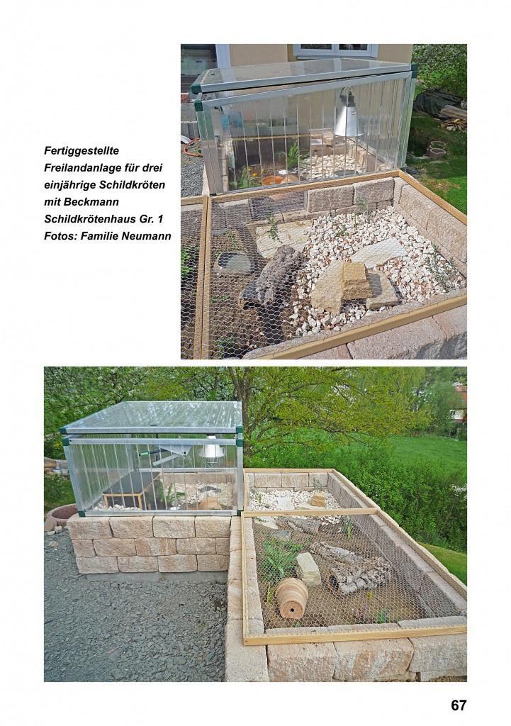 Beispielinhalt (Bild) Landschildkröten-Freilandanlagen