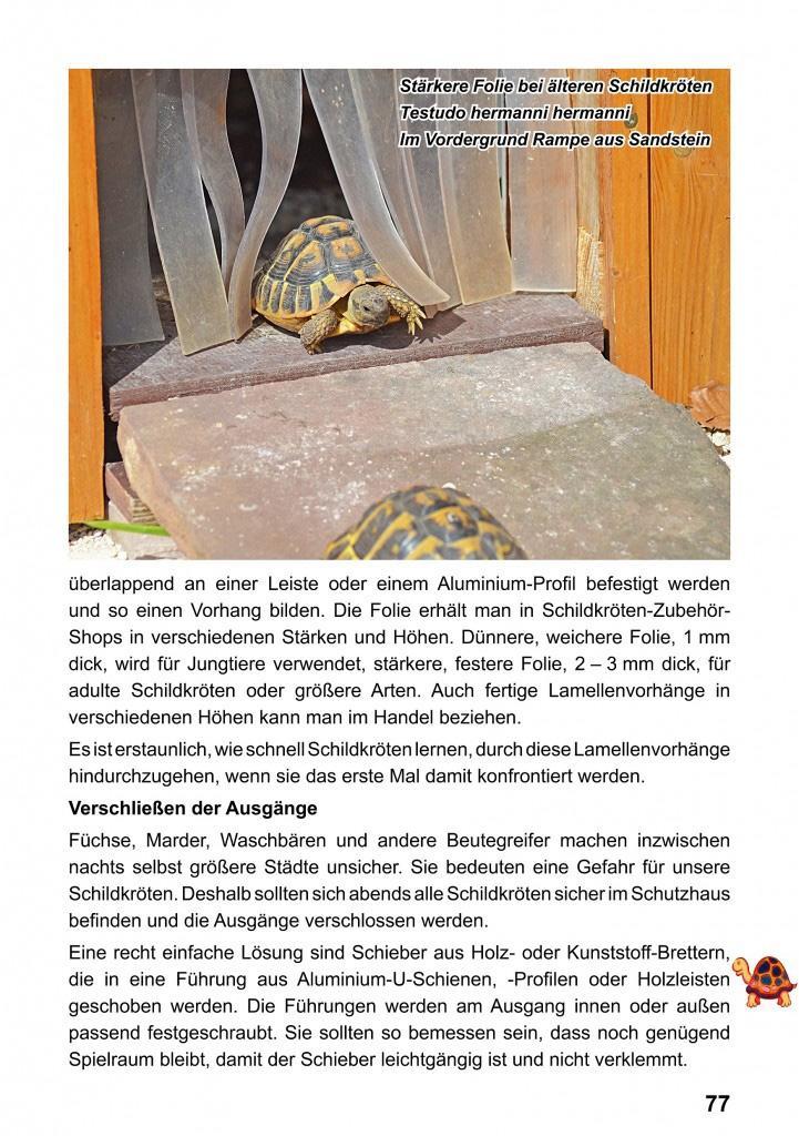 Beispielinhalt (Bild) Landschildkröten-Freilandanlagen