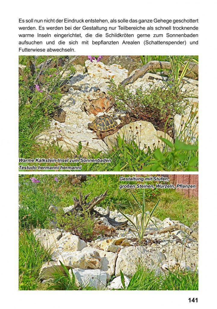 Beispielinhalt (Bild) Landschildkröten-Freilandanlagen