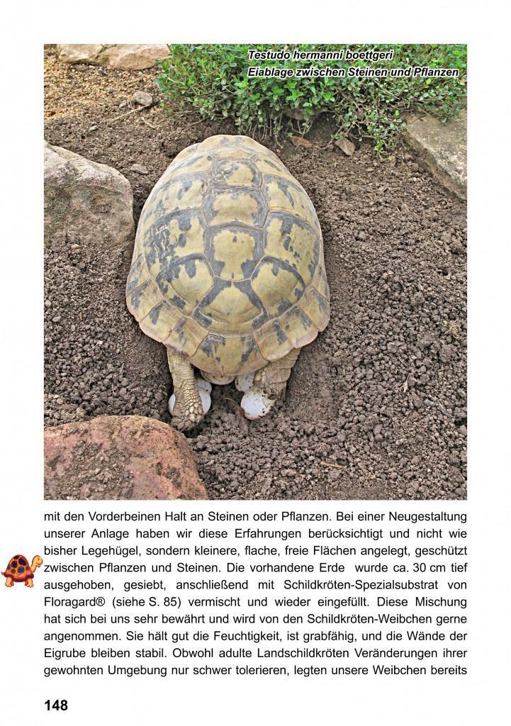 Beispielinhalt (Bild) Landschildkröten-Freilandanlagen