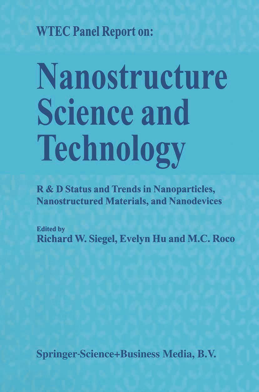 Vorderes Coverbild Nanostructure Science and Technology
