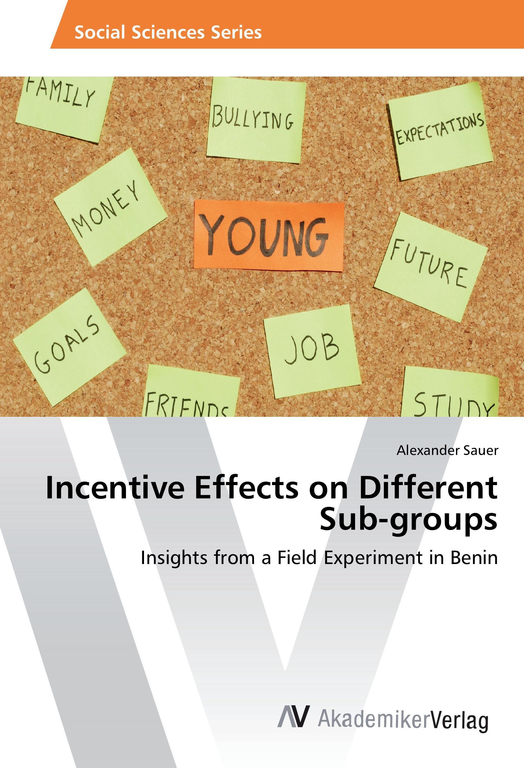 Vorderes Coverbild Incentive Effects on Different Sub-groups