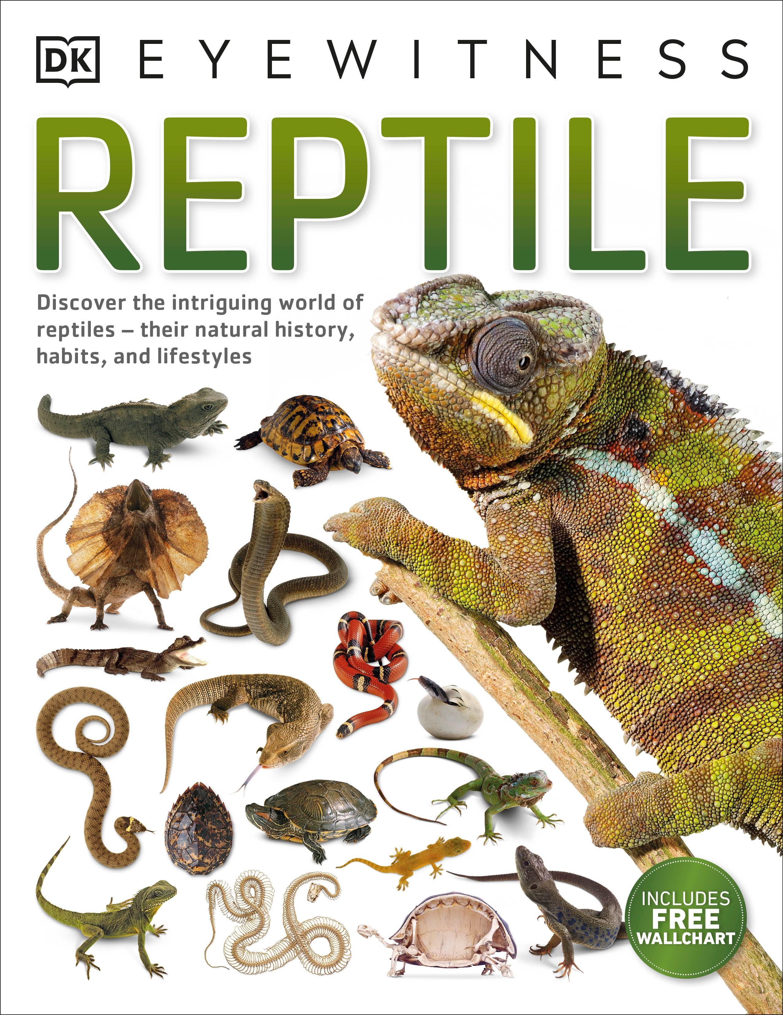 Vorderes Coverbild Reptile