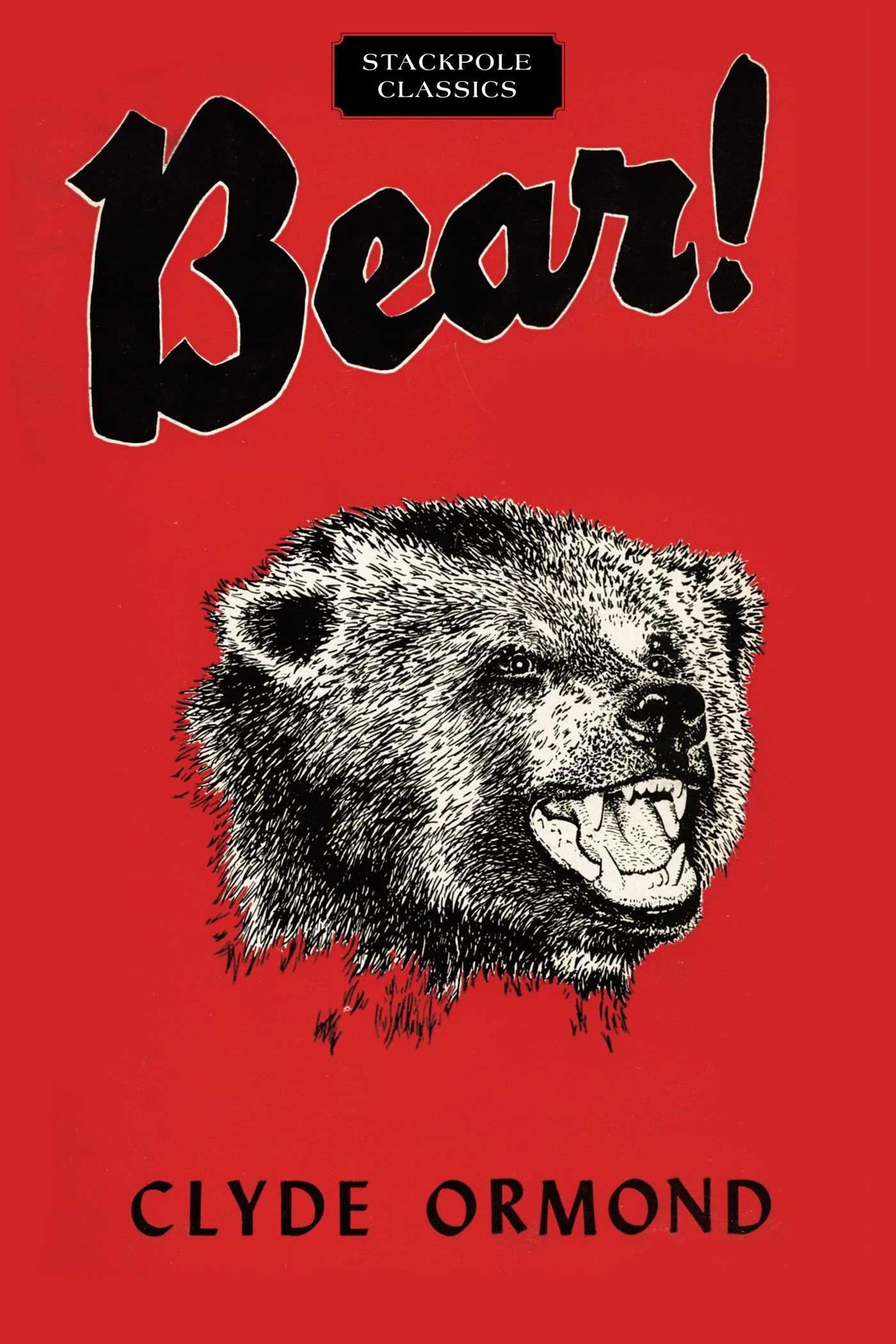 Vorderes Coverbild Bear!