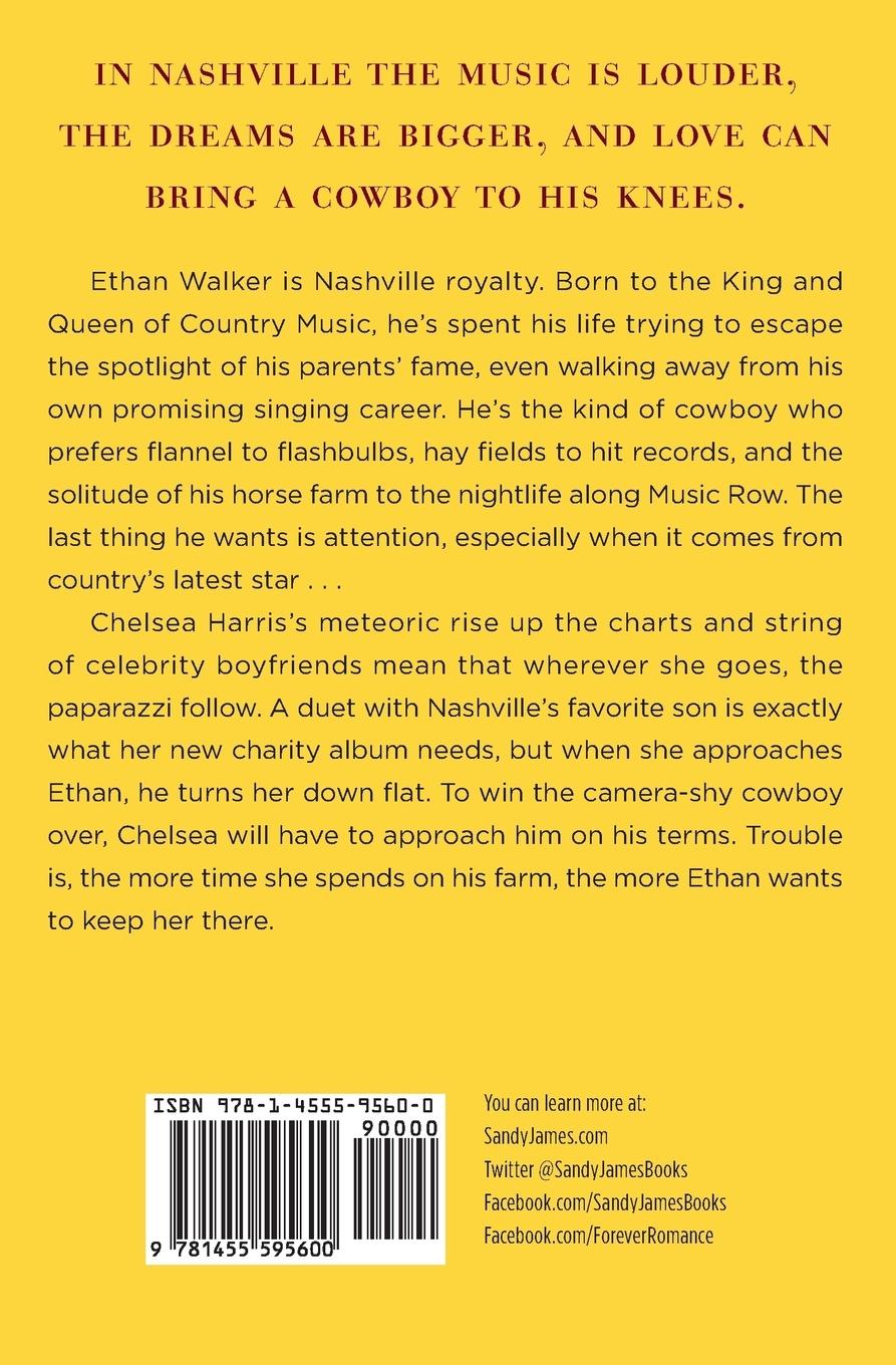 Rückseitencover Can't Let Her Go