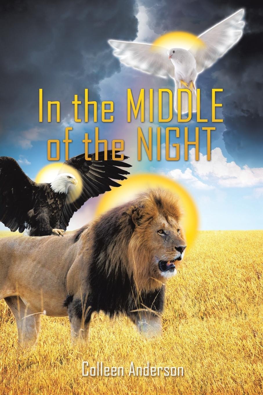 Vorderes Coverbild In the Middle of the Night