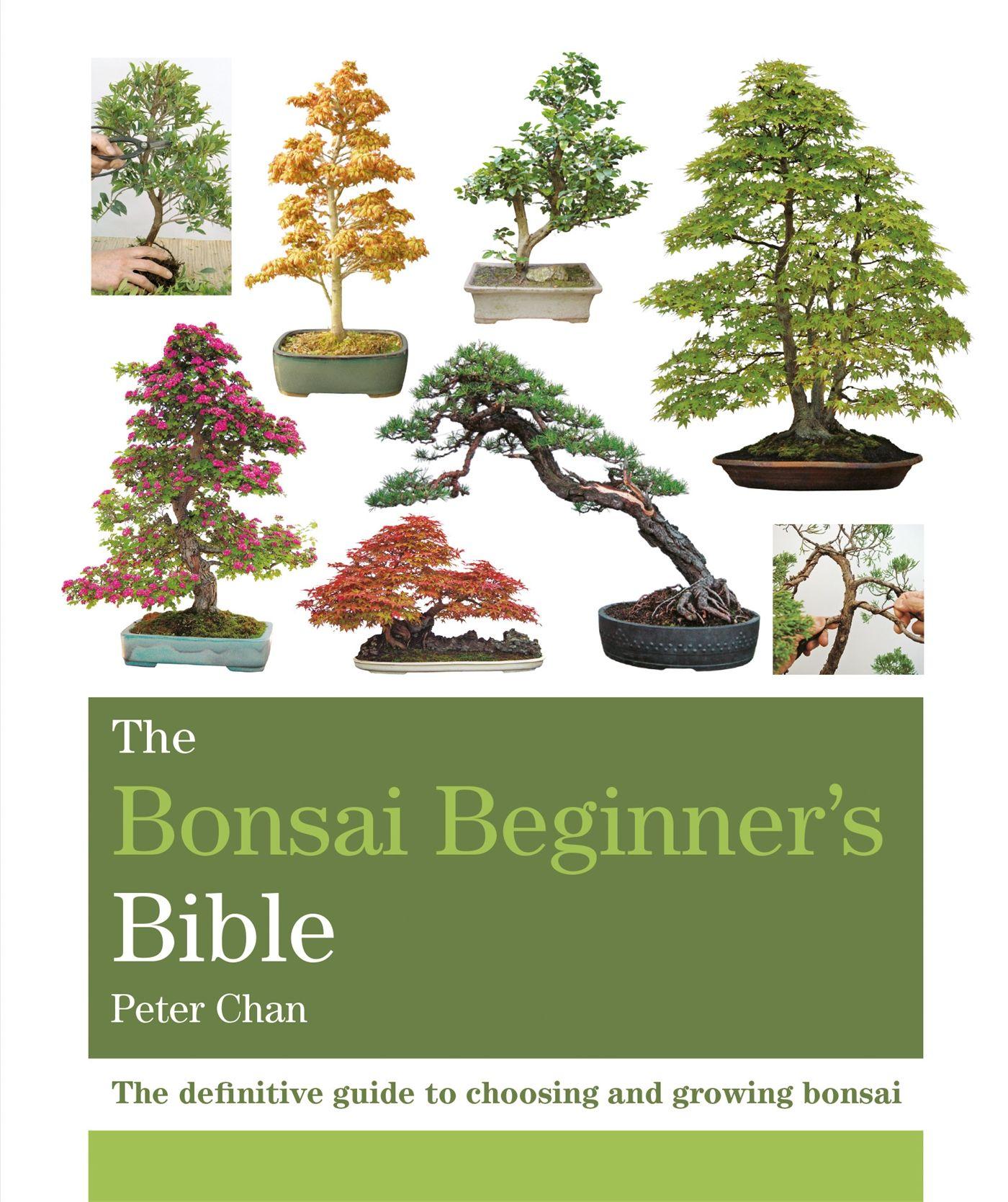 Vorderes Coverbild The Bonsai Beginner's Bible