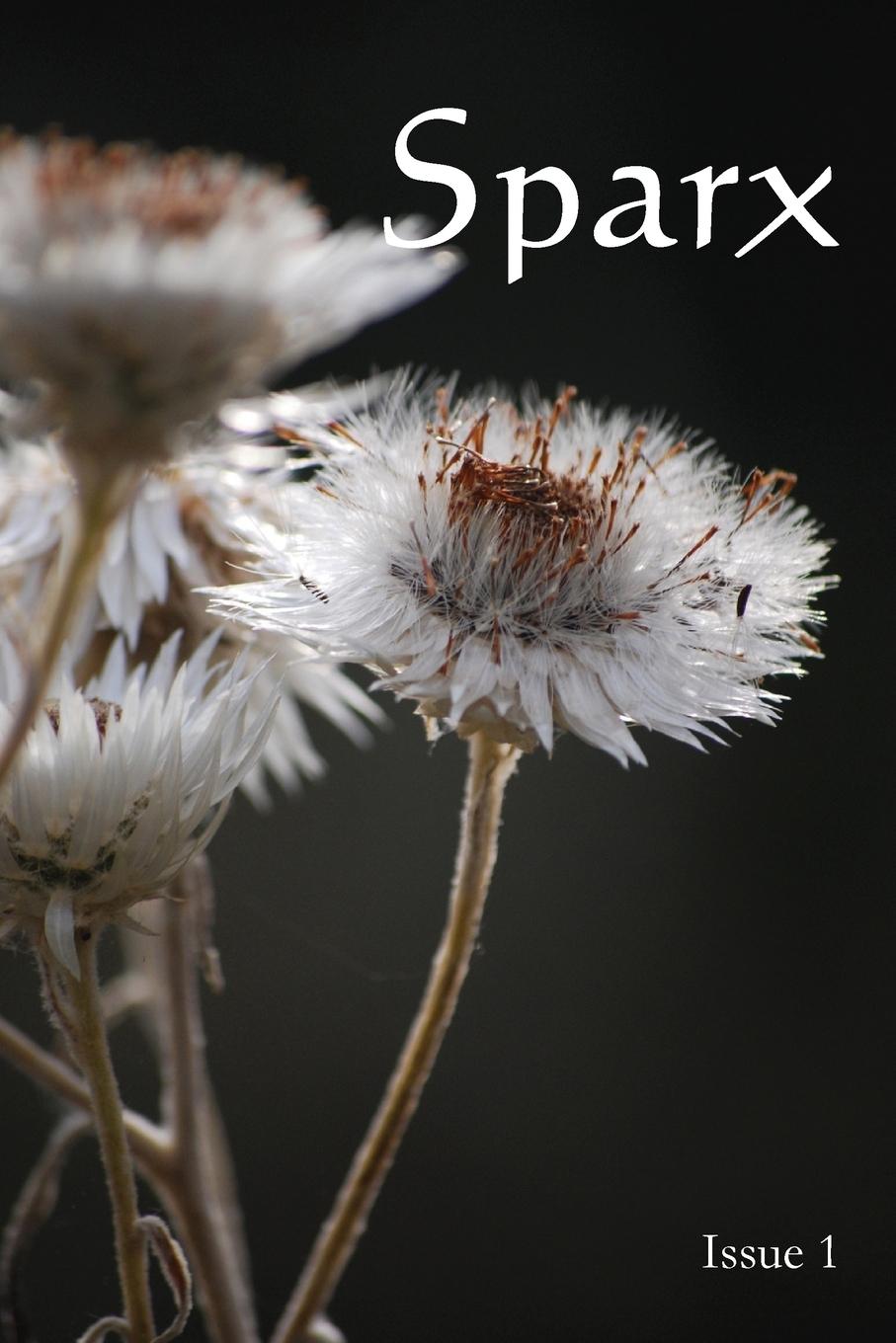 Vorderes Coverbild Sparx: Issue 1