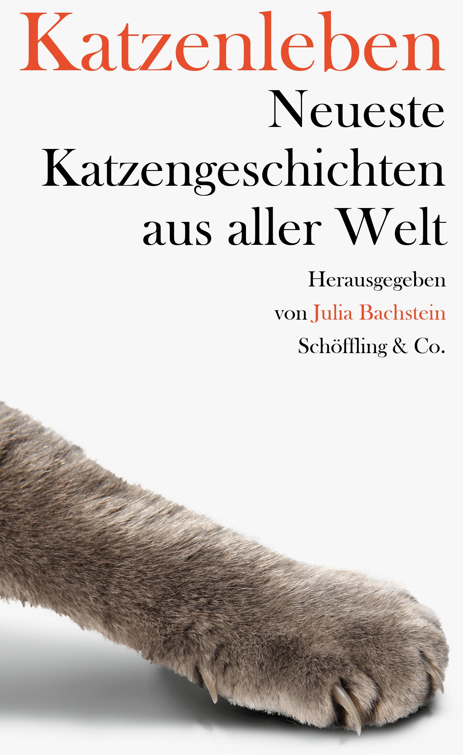 Vorderes Coverbild Katzenleben