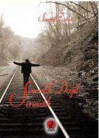 Vorderes Coverbild Sessizlik Degil Sensizlik