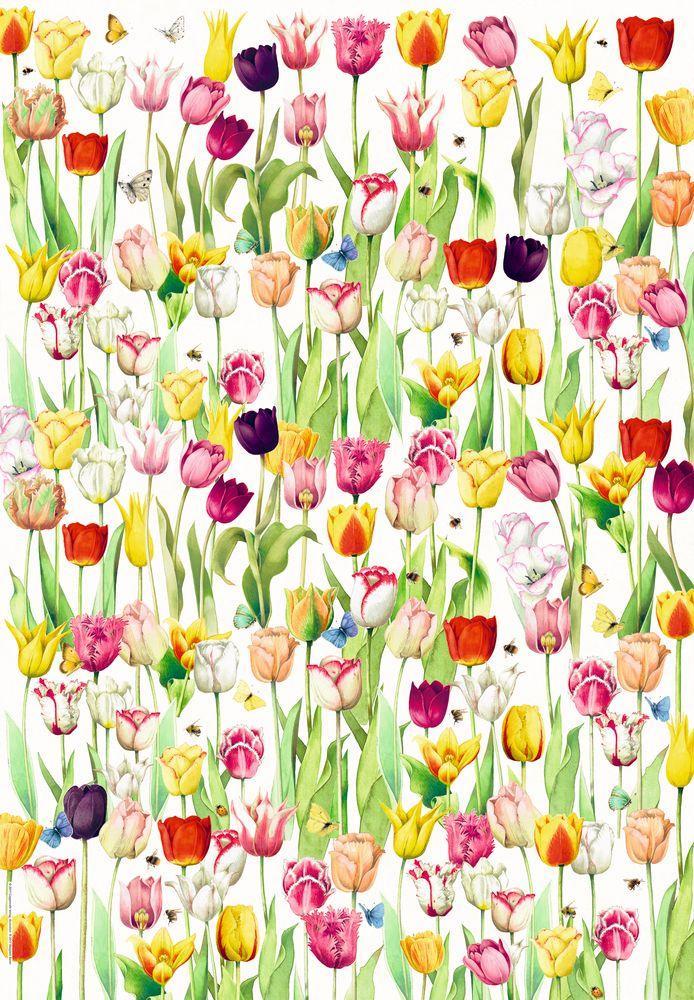 Beispielinhalt (Bild) Geschenkpapier-Buch - Schöner schenken