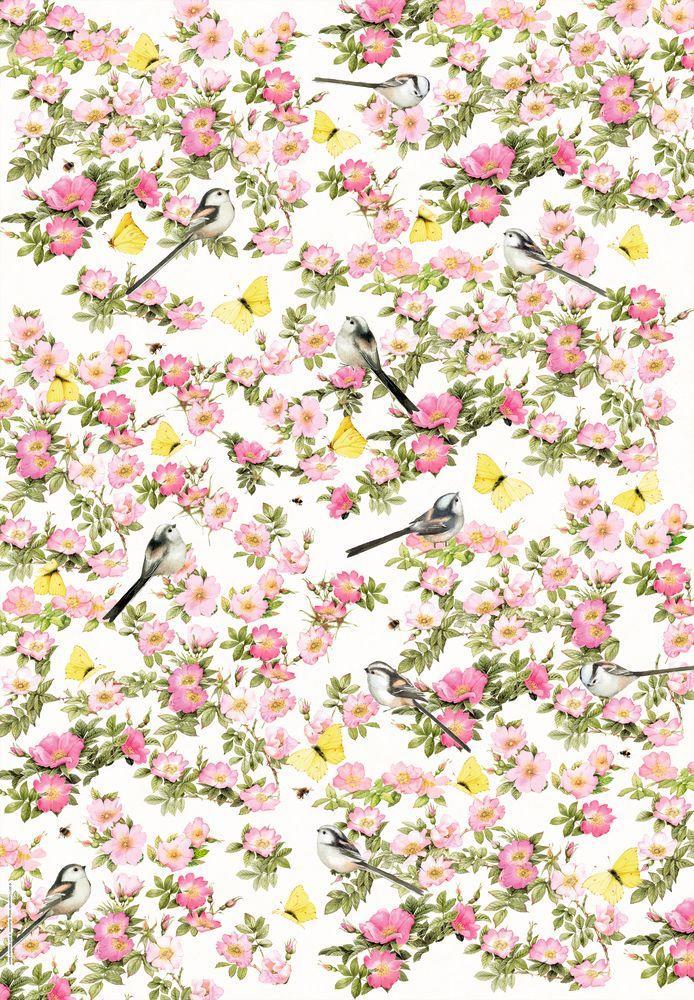 Beispielinhalt (Bild) Geschenkpapier-Buch - Schöner schenken