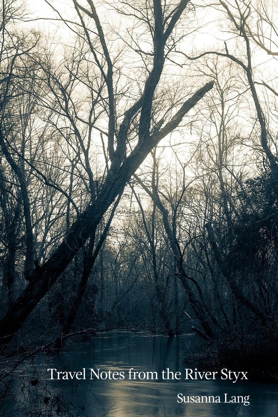 Vorderes Coverbild Travel Notes from the River Styx