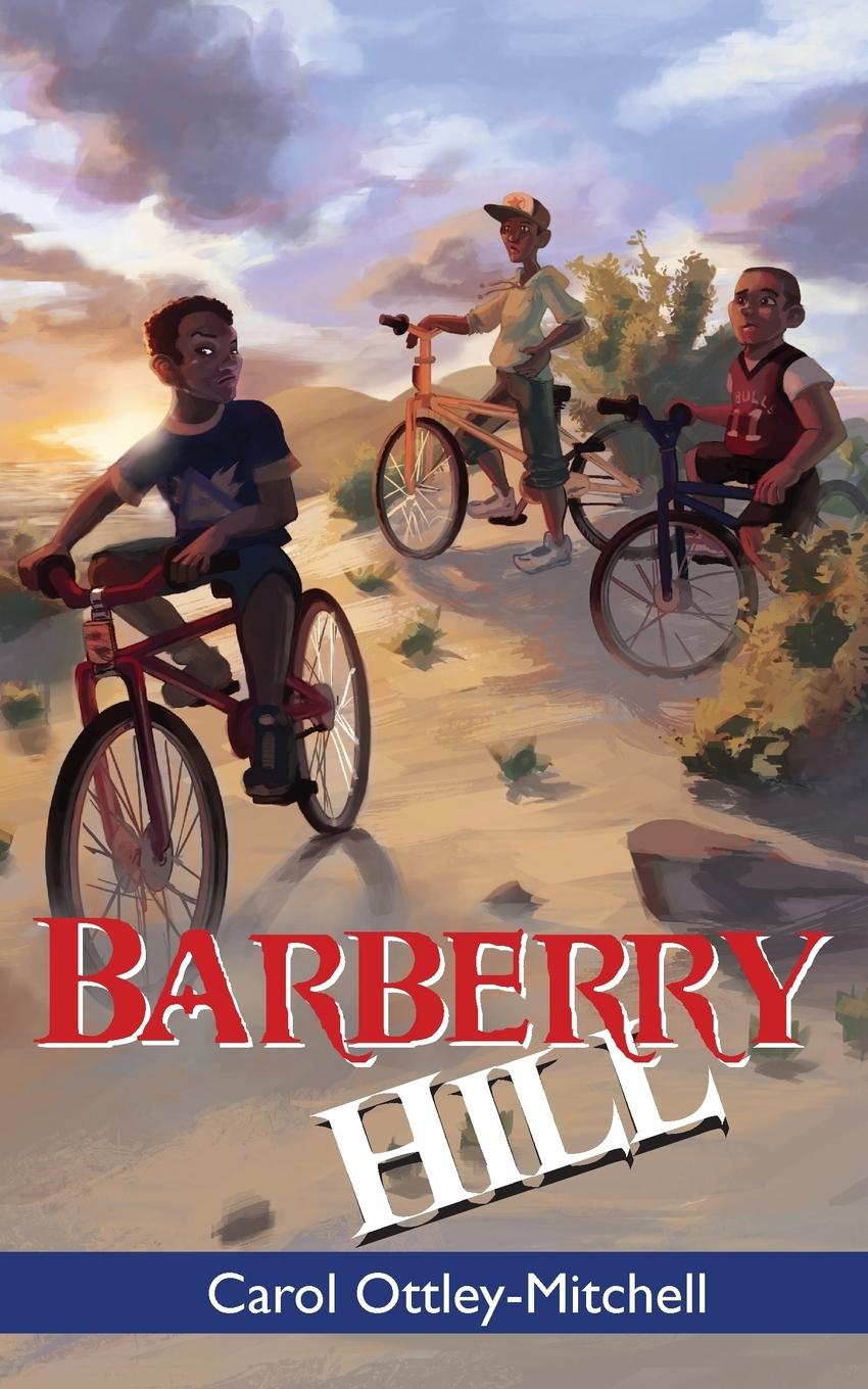 Vorderes Coverbild Barberry Hill