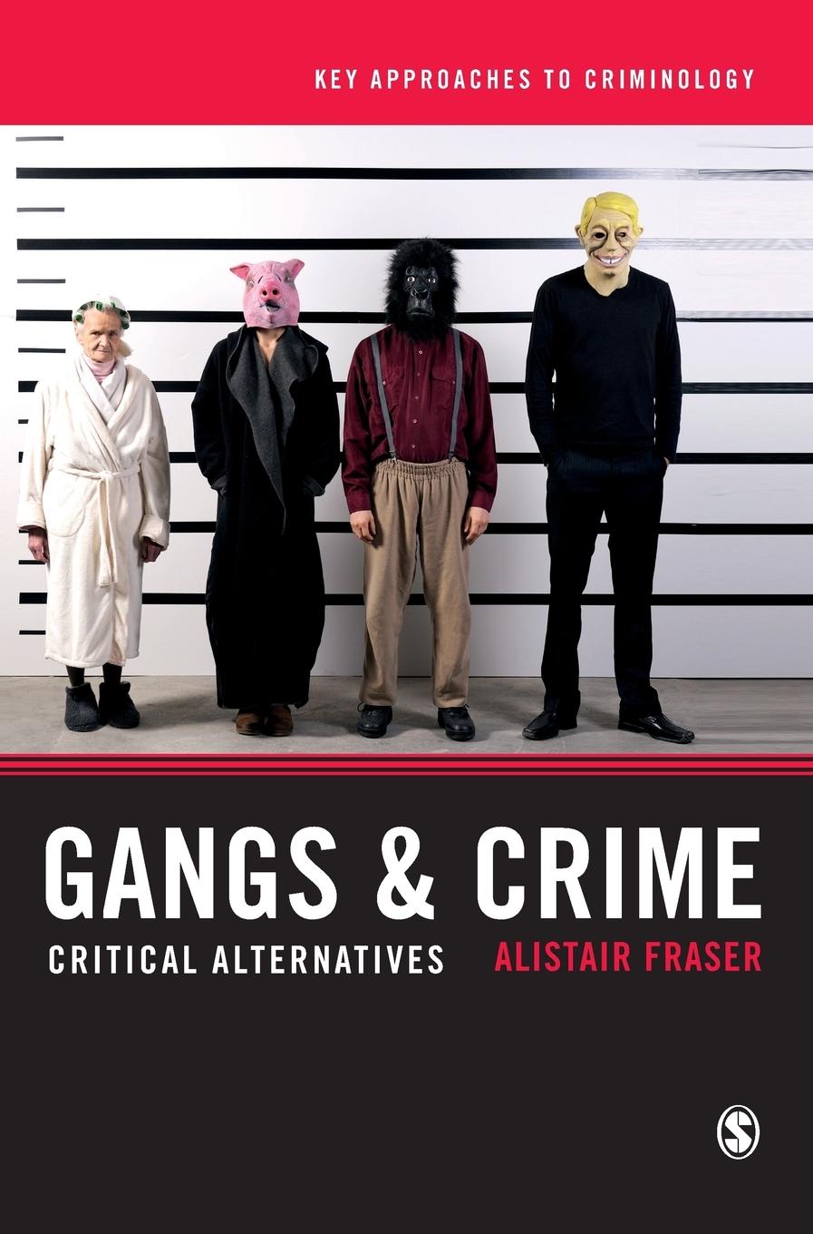 Vorderes Coverbild Gangs & Crime