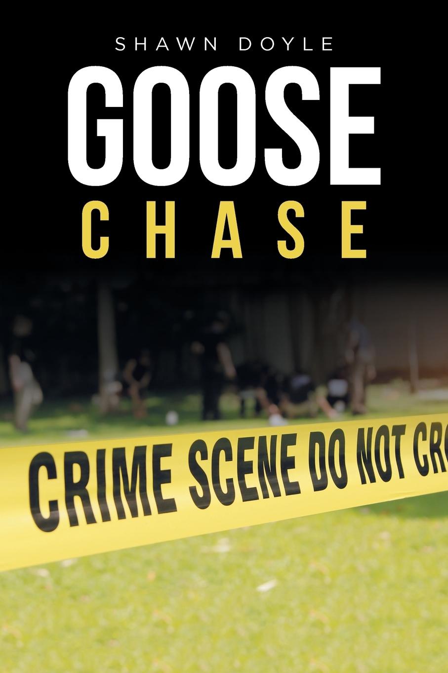 Vorderes Coverbild Goose Chase