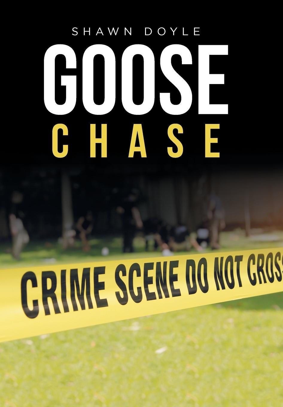 Vorderes Coverbild Goose Chase