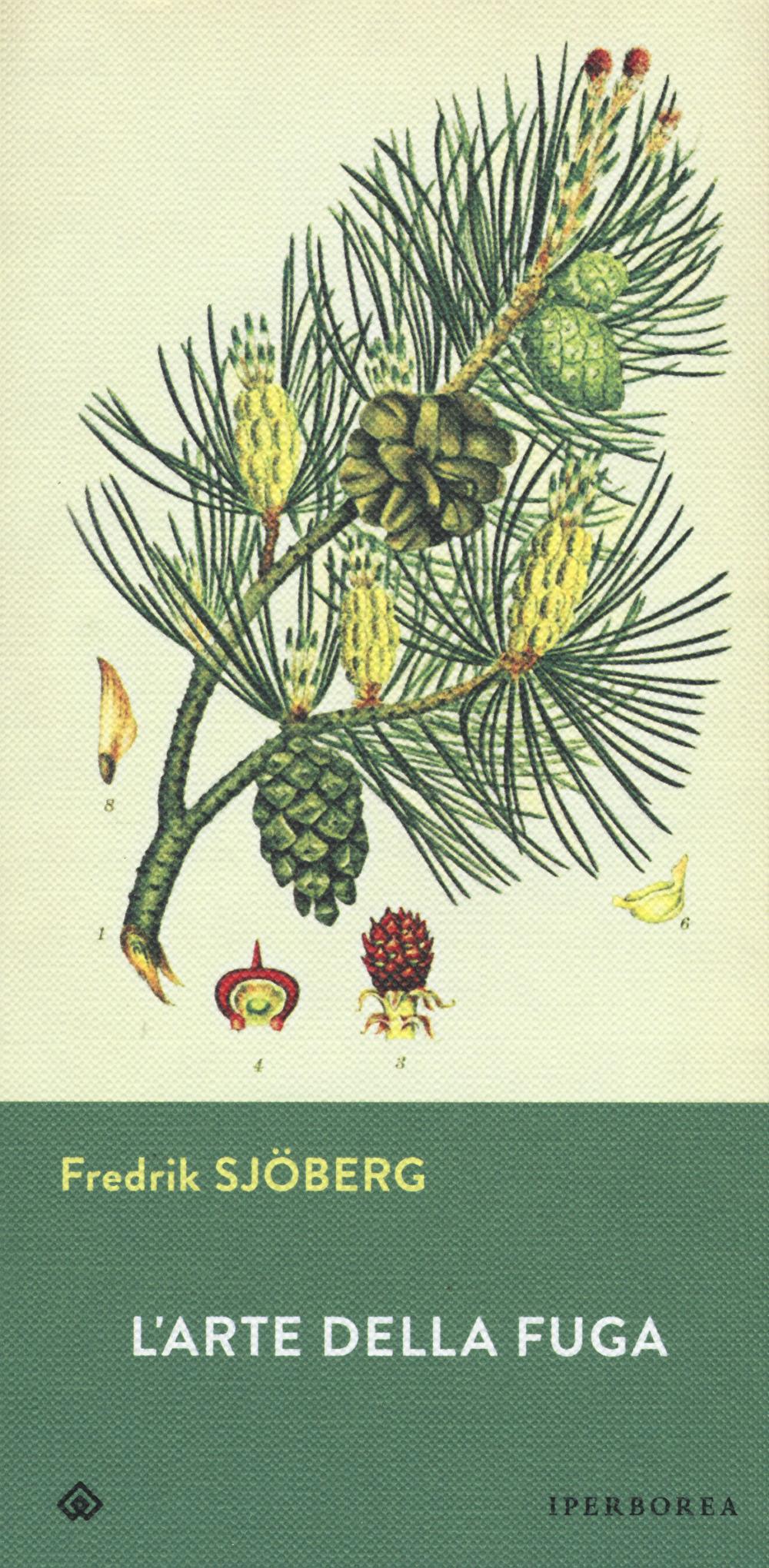 Vorderes Coverbild L' arte della fuga