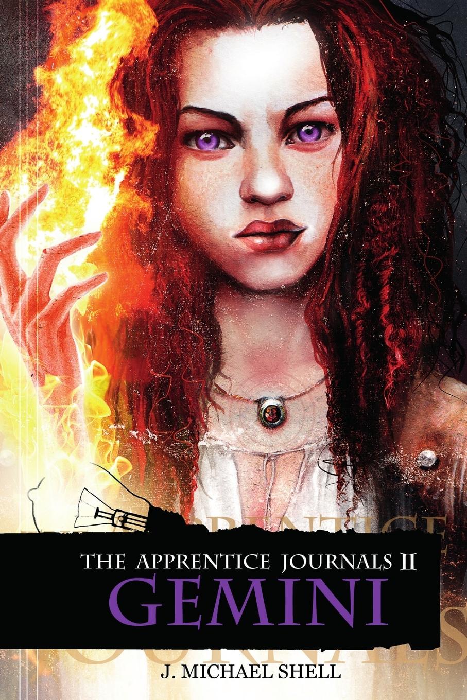 Vorderes Coverbild The Apprentice Journals