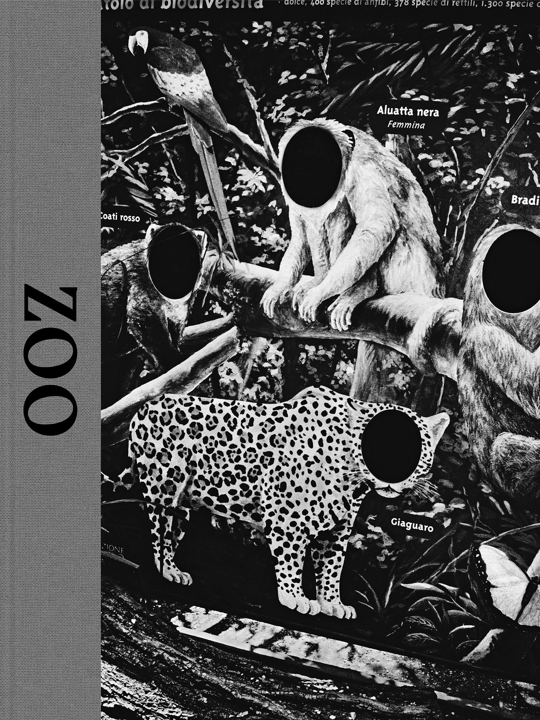 Vorderes Coverbild Zoo
