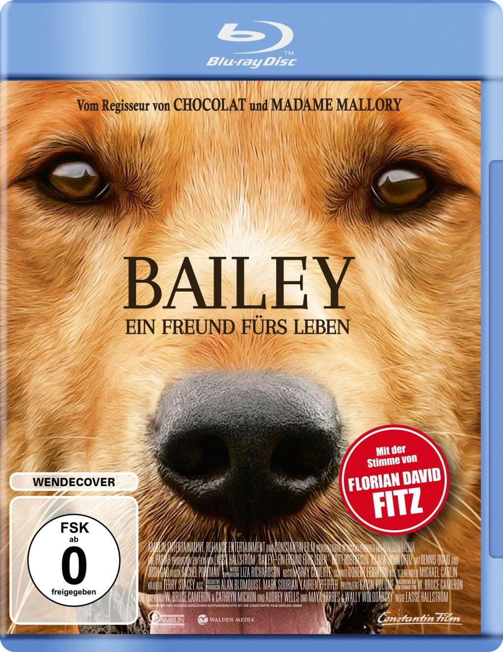 Vorderes Coverbild Bailey - Ein Freund fürs Leben