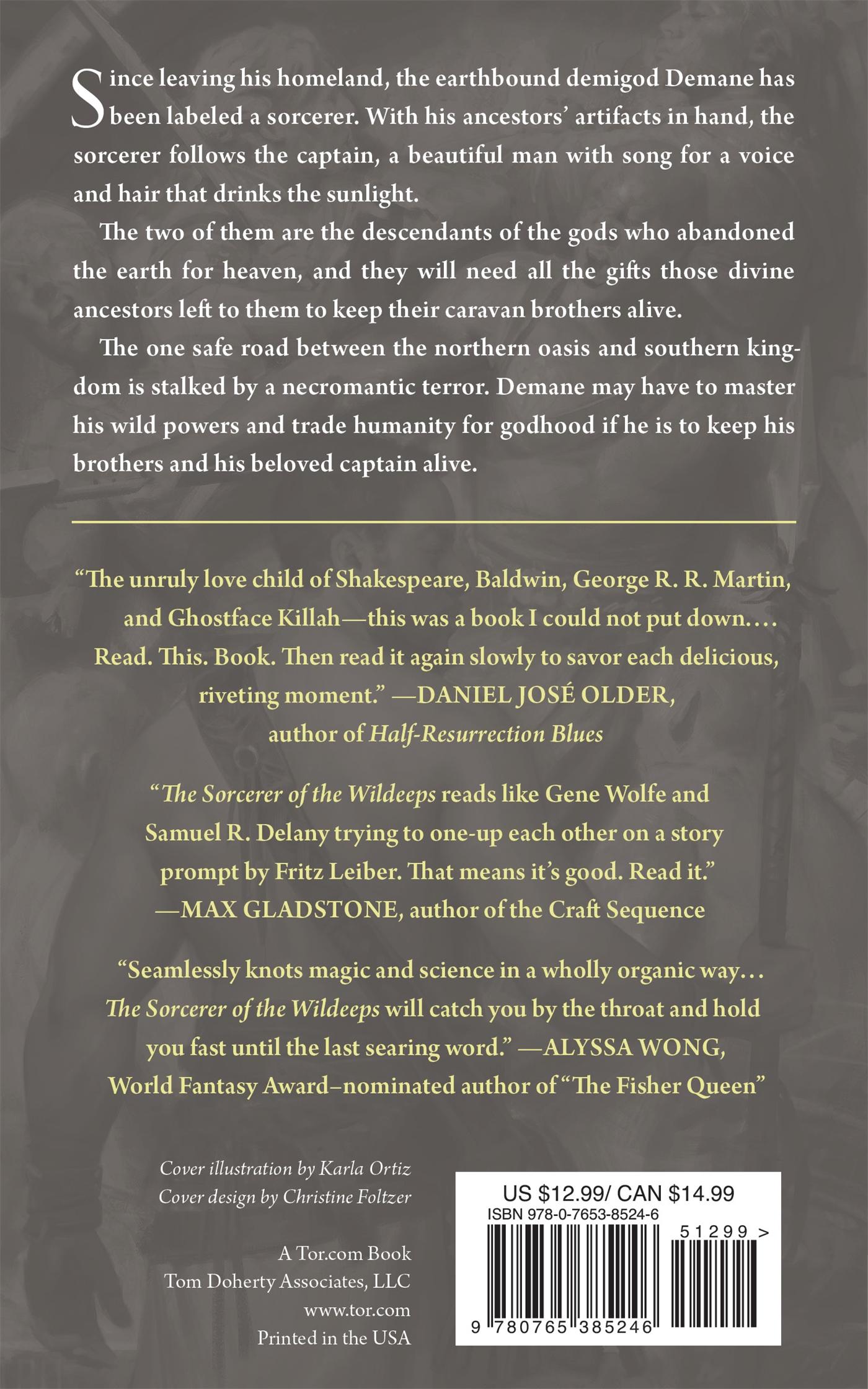 Rückseitencover THE SORCERER OF THE WILDEEPS