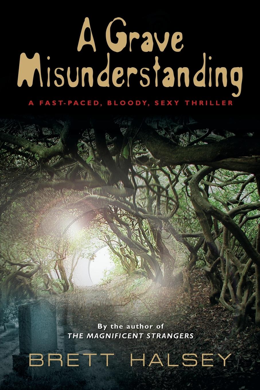 Vorderes Coverbild A Grave Misunderstanding