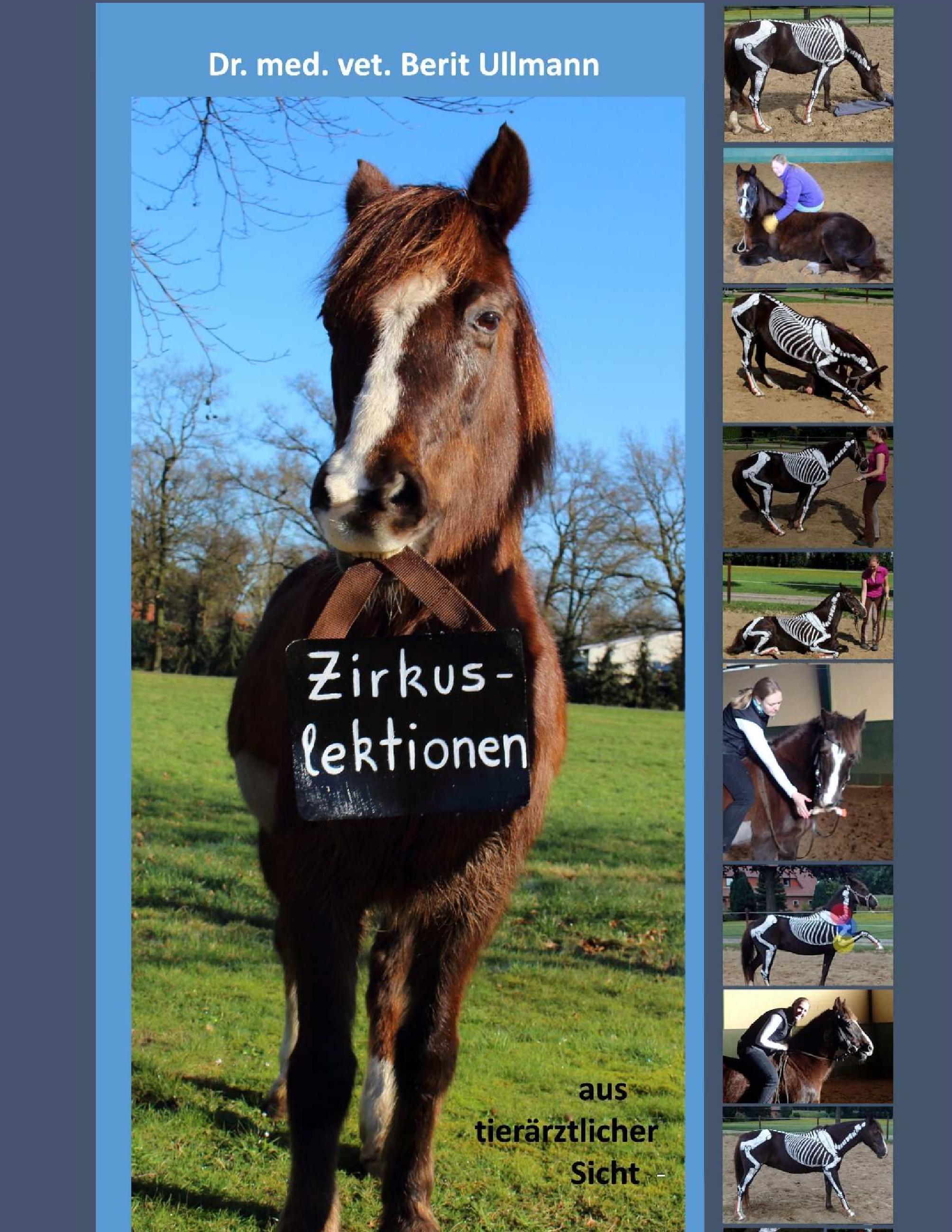 Vorderes Coverbild Zirkuslektionen