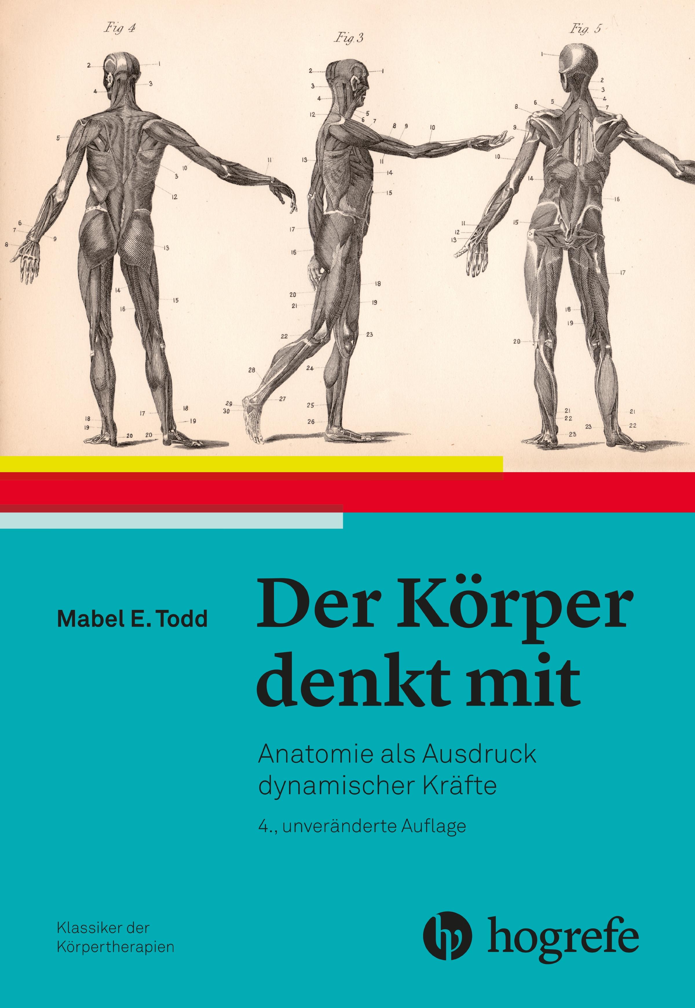 Vorderes Coverbild Der Körper denkt mit