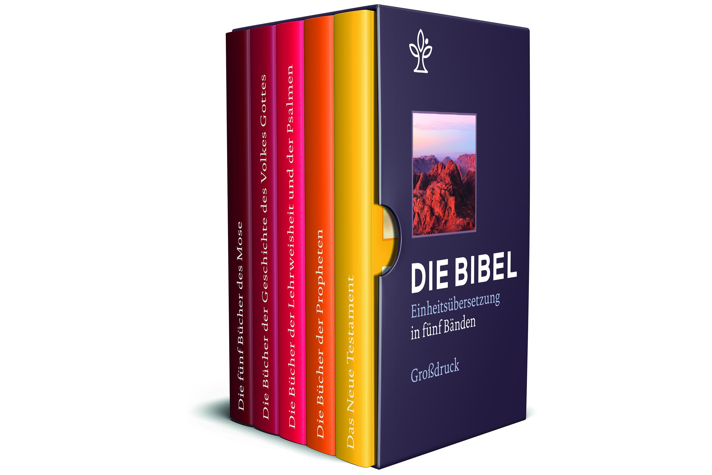 Vorderes Coverbild Bibel in 5 Einzelbüchern in Geschenkkassette, Großdruck
