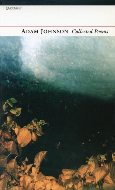 Vorderes Coverbild Adam Johnson Collected Poems