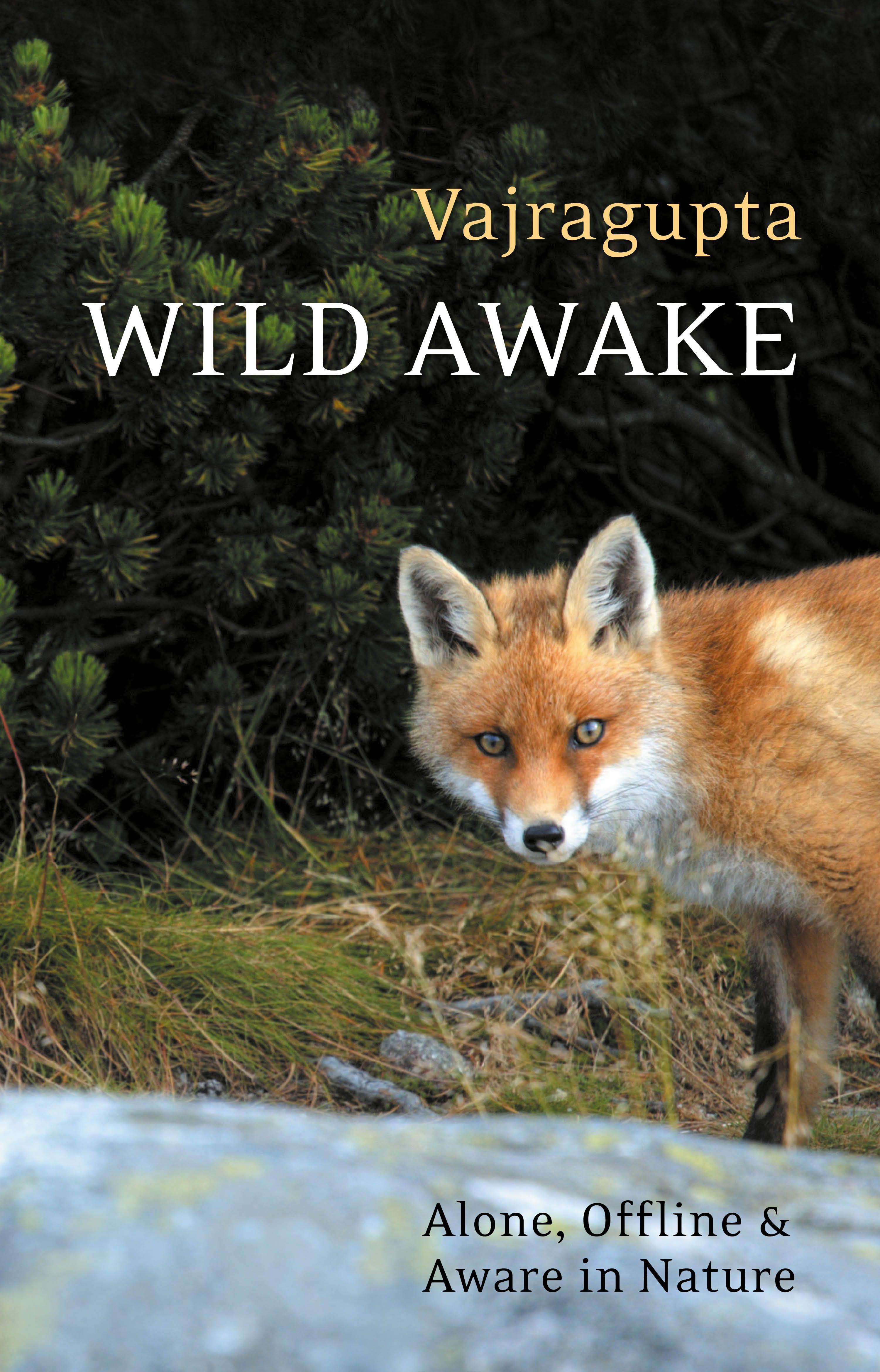 Vorderes Coverbild Wild Awake